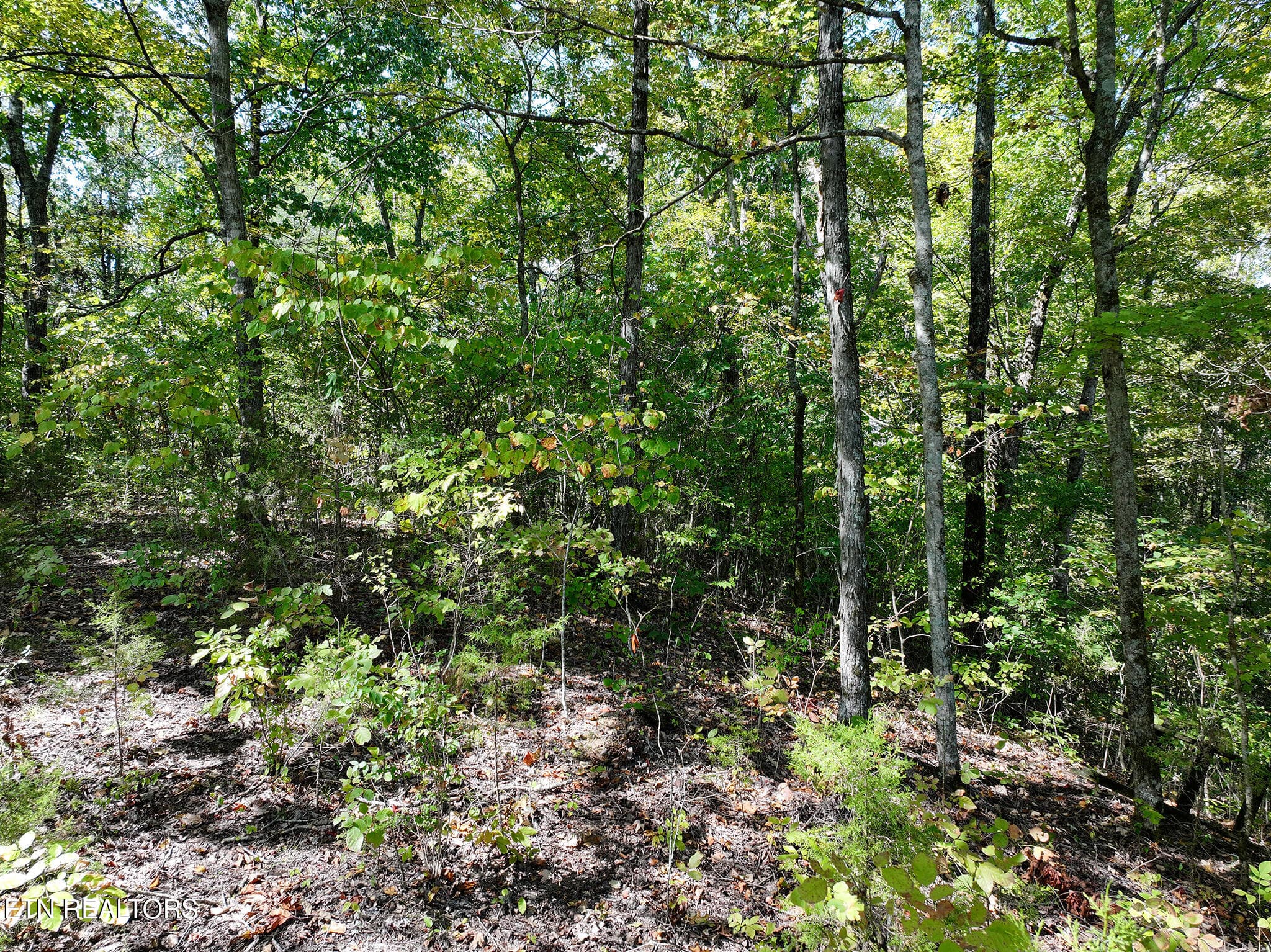 DJI_20261002133857_0173_D copy - 12 Acres Jace Way, Kodak, TN 37764, Kodak