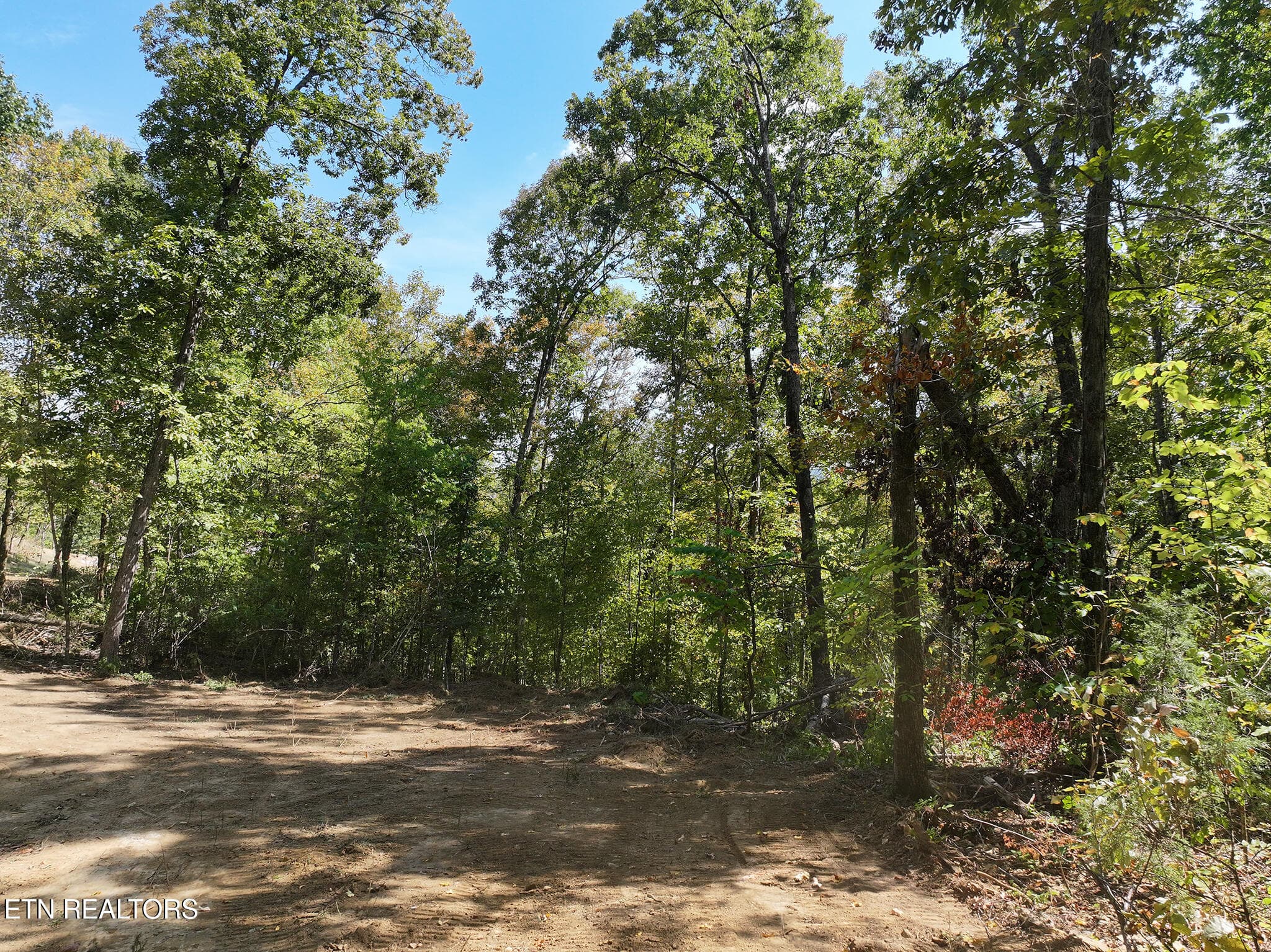 DJI_20261002133925_0174_D copy - 12 Acres Jace Way, Kodak, TN 37764, Kodak
