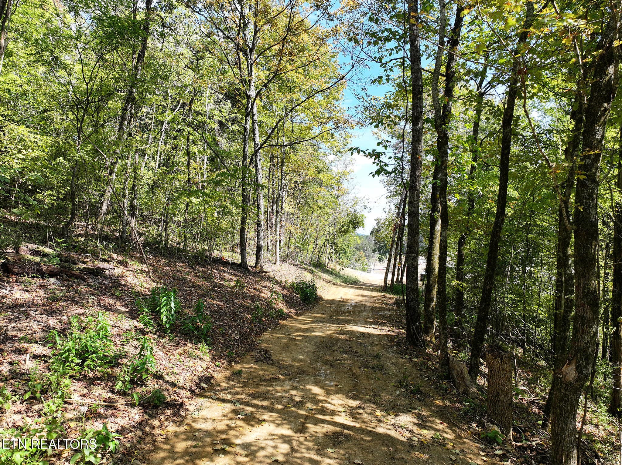 DJI_20261002133950_0177_D copy - 12 Acres Jace Way, Kodak, TN 37764, Kodak