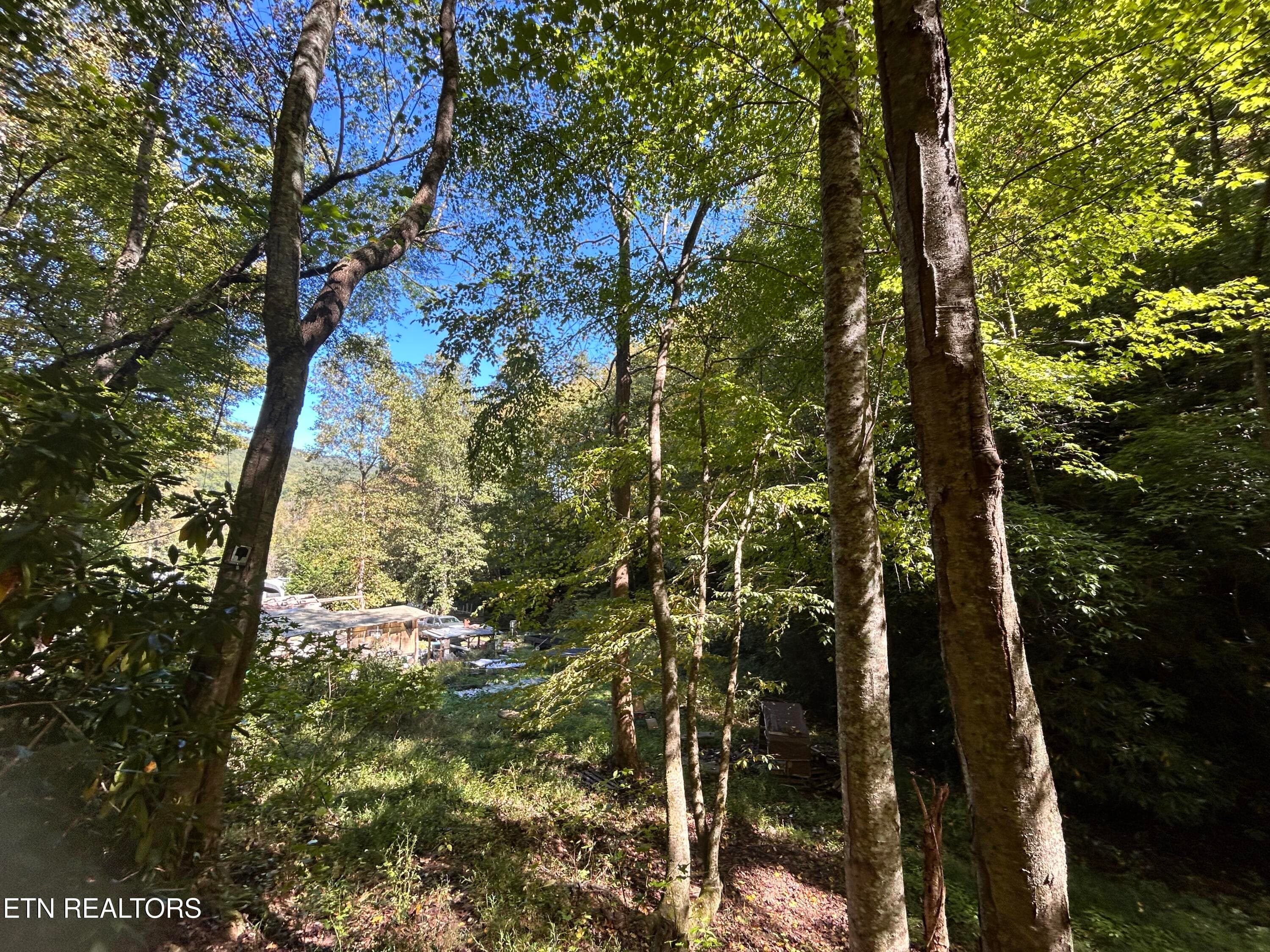 433 Steve Brown Rd, Bean Station, TN 37708