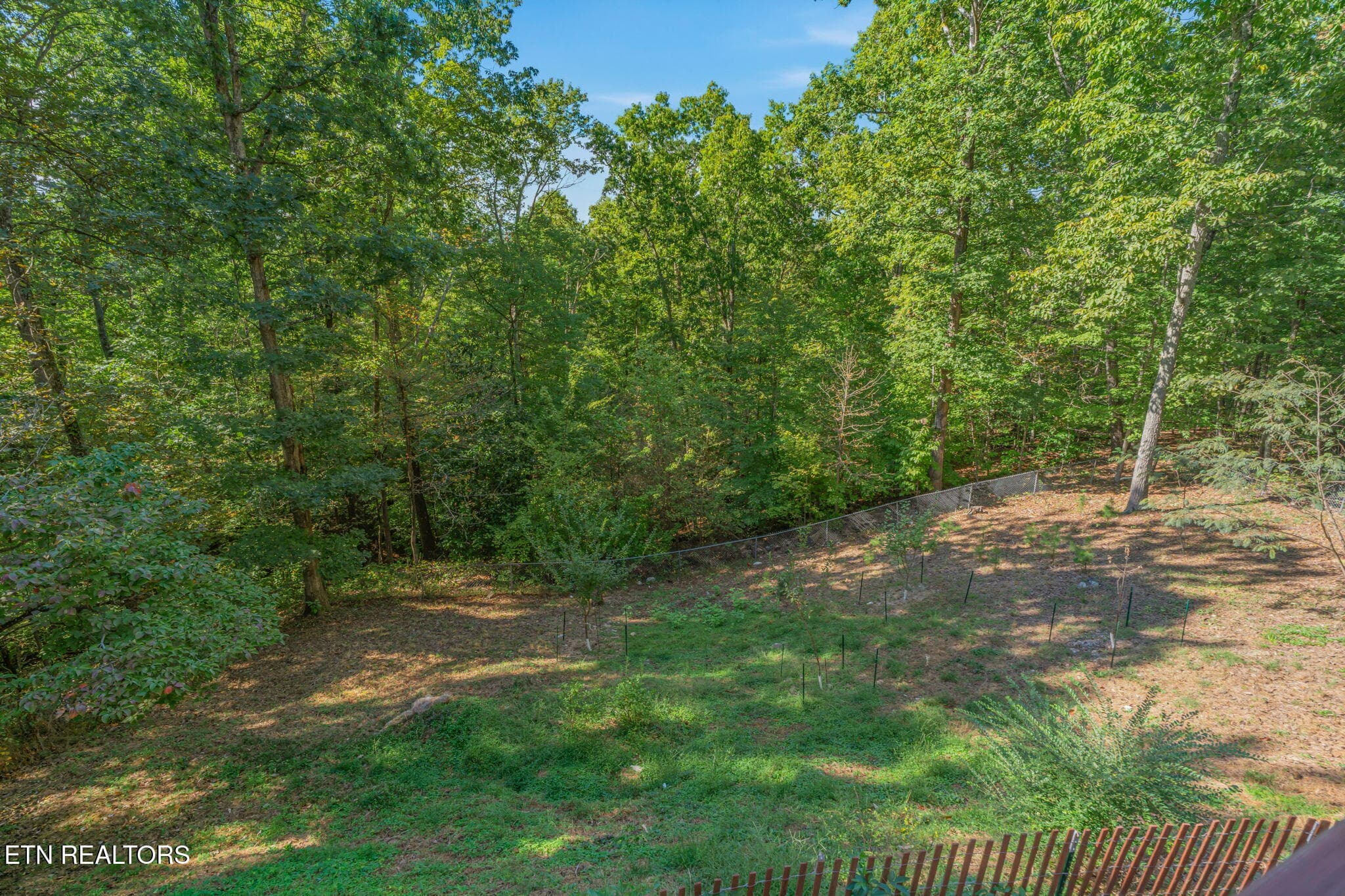 37-web-or-mls-103 Morgan Road-27 - 103 Morgan Rd, Oak Ridge, TN 37830, Oak Ridge
