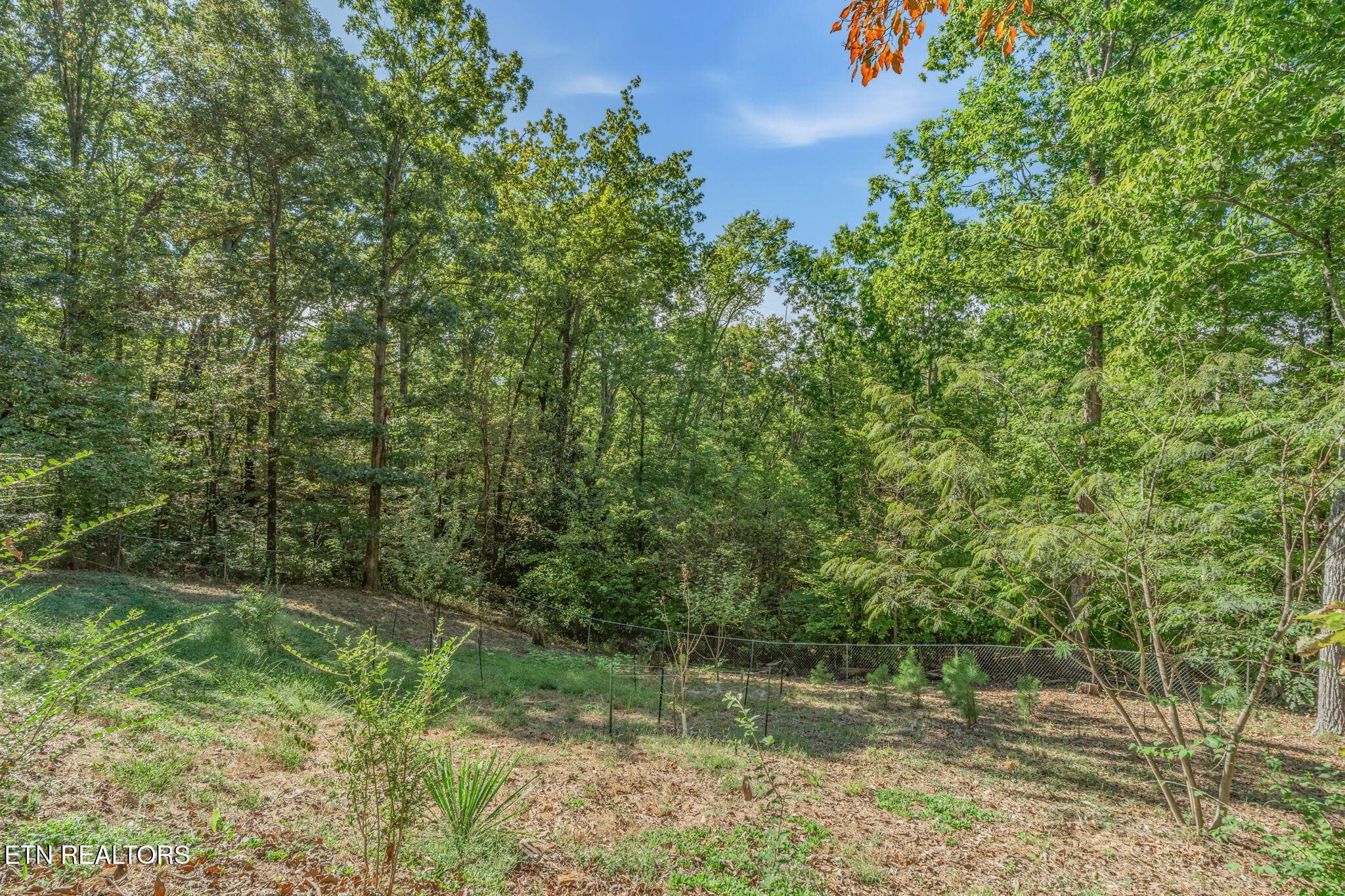 49-web-or-mls-103 Morgan Road-39 - 103 Morgan Rd, Oak Ridge, TN 37830, Oak Ridge