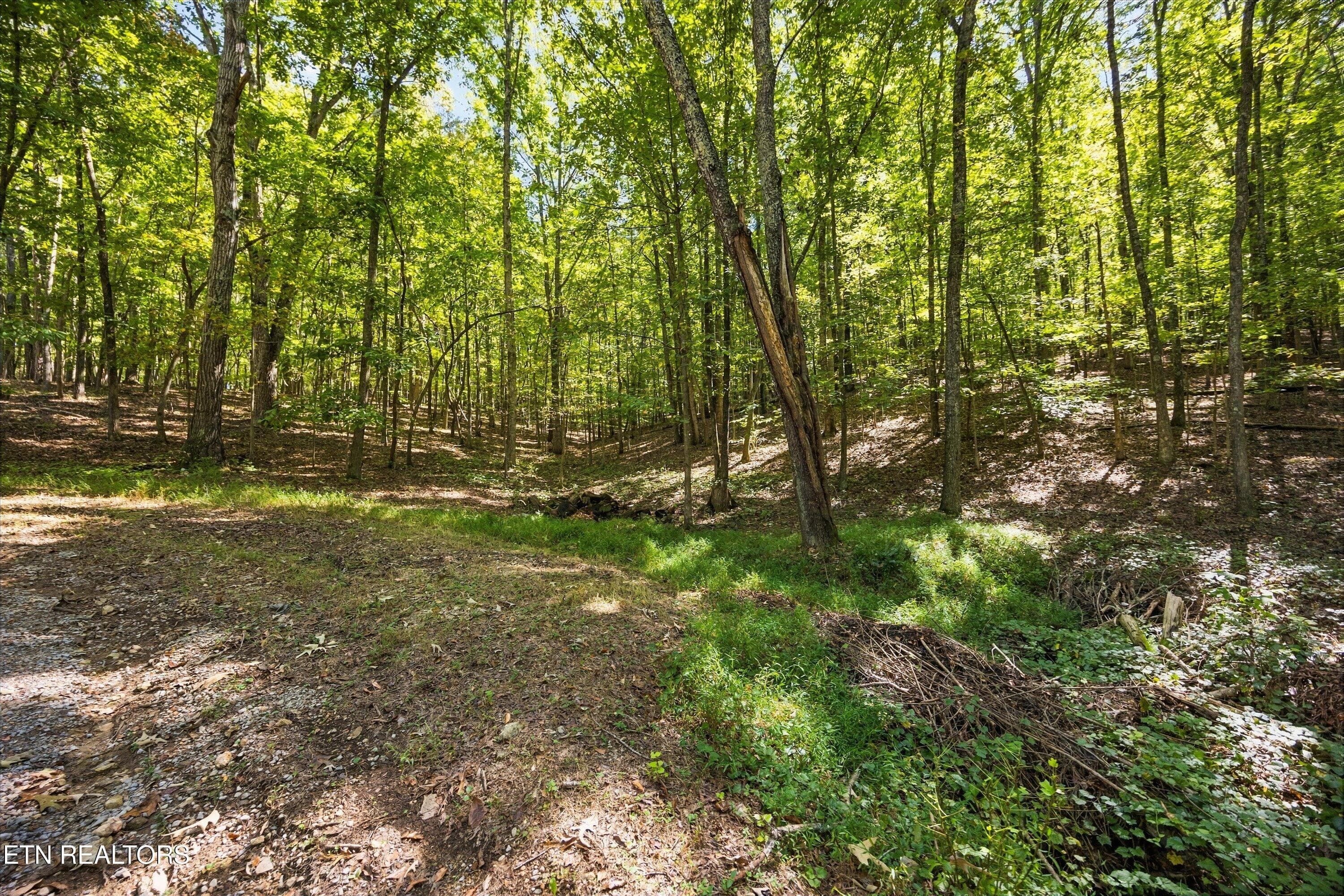 5 Acres to make it what you want - 4350 Get Good Hollow Rd, Loudon, TN 37774, Loudon