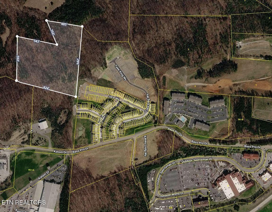 Tax Overhead 2 - 12 Acres Jace Way, Kodak, TN 37764, Kodak
