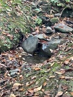 IMG_3317 - 1235 Ski Mountain Rd APT 629, Gatlinburg, TN 37738, Gatlinburg