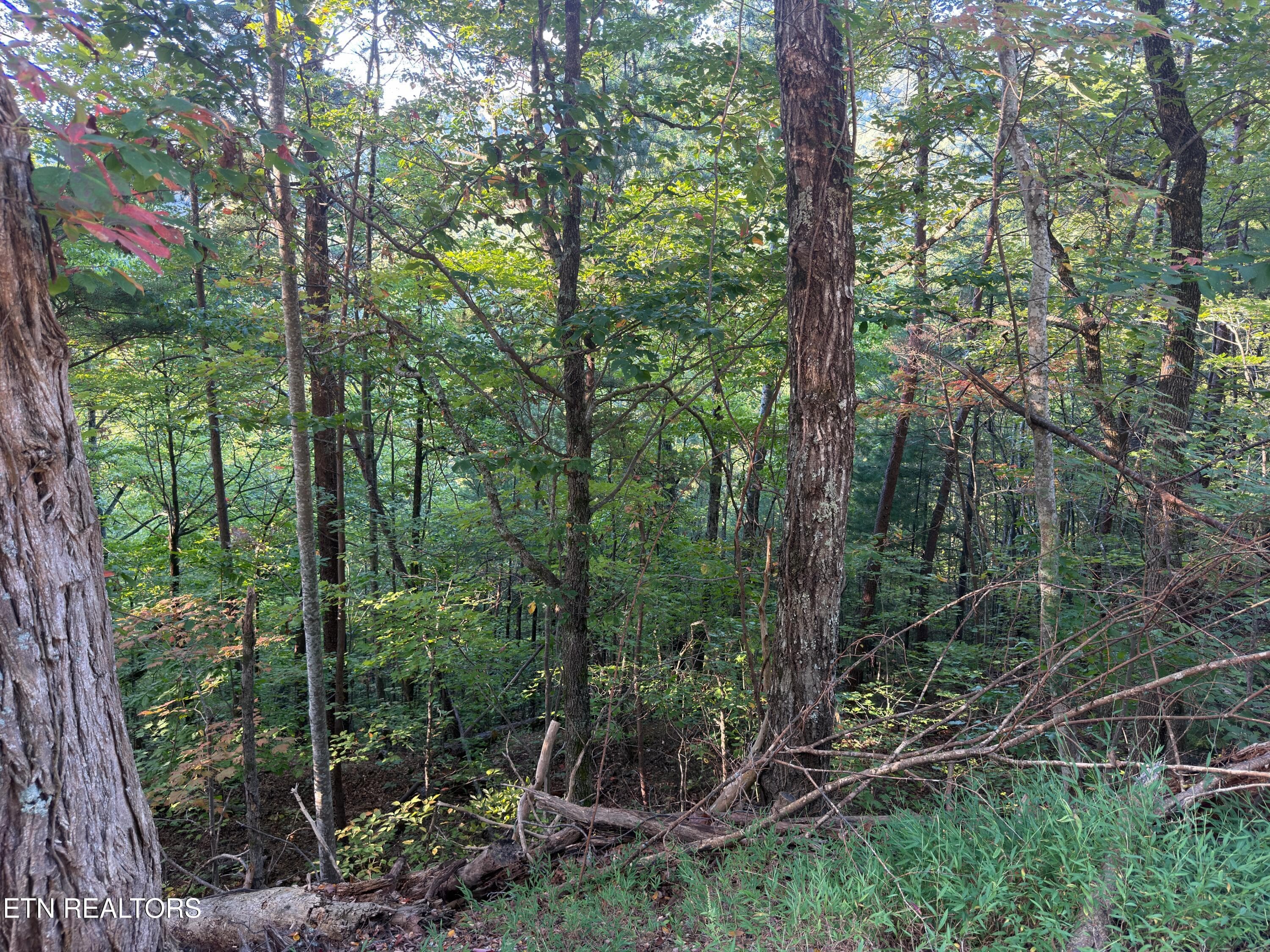 Overholt Tr, Sevierville, TN 37862