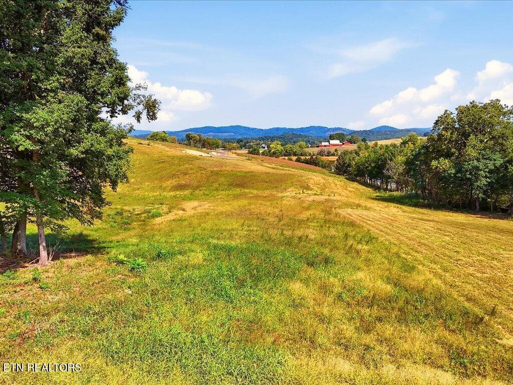 Lot 50 Stillwater Cv - 8 - Lot 50 Stillwater Cove, Morristown, TN 37814, Morristown