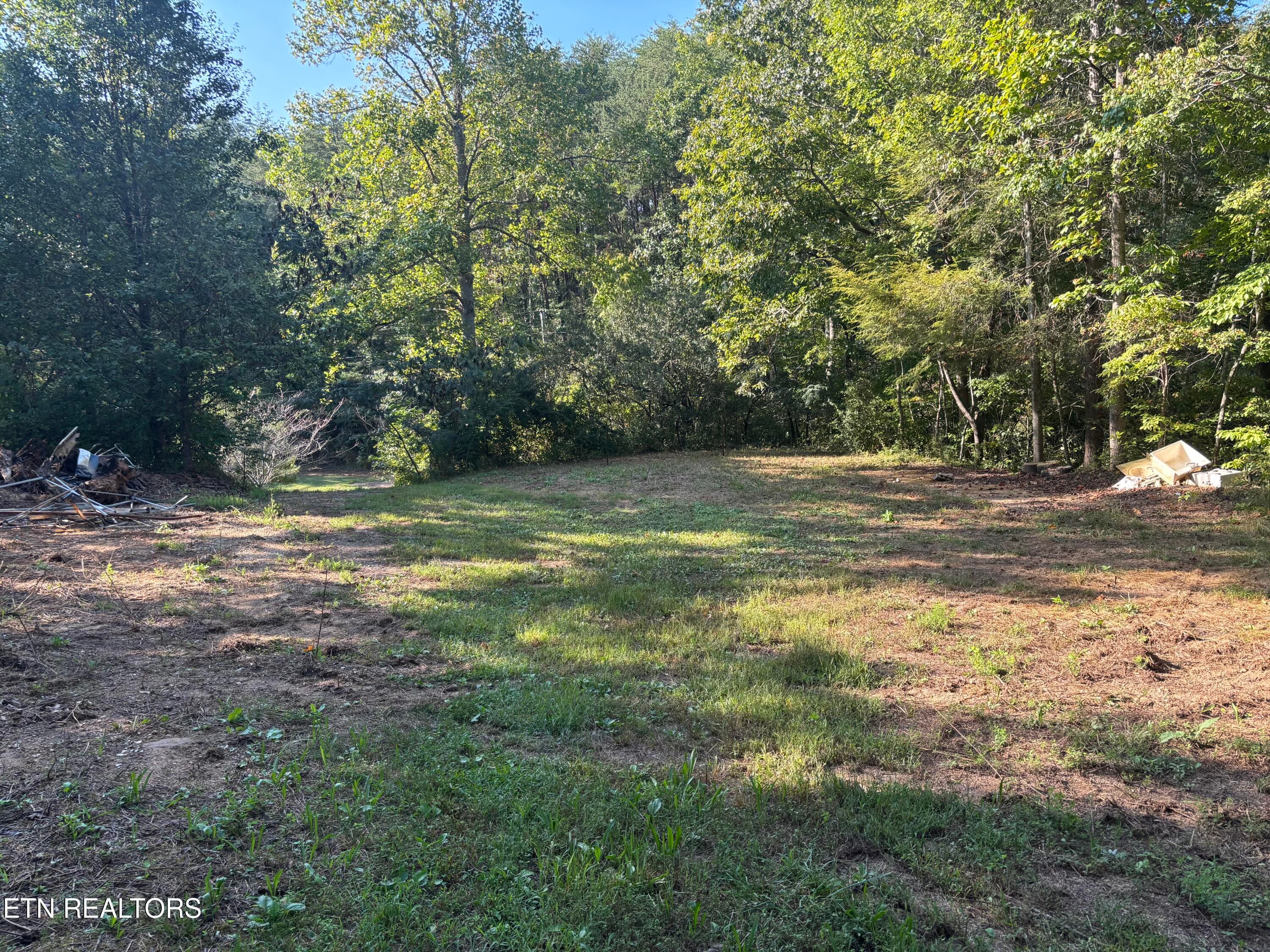 IMG_6829 (1) - 204 Hughes Hollow Rd, Vonore, TN 37885
