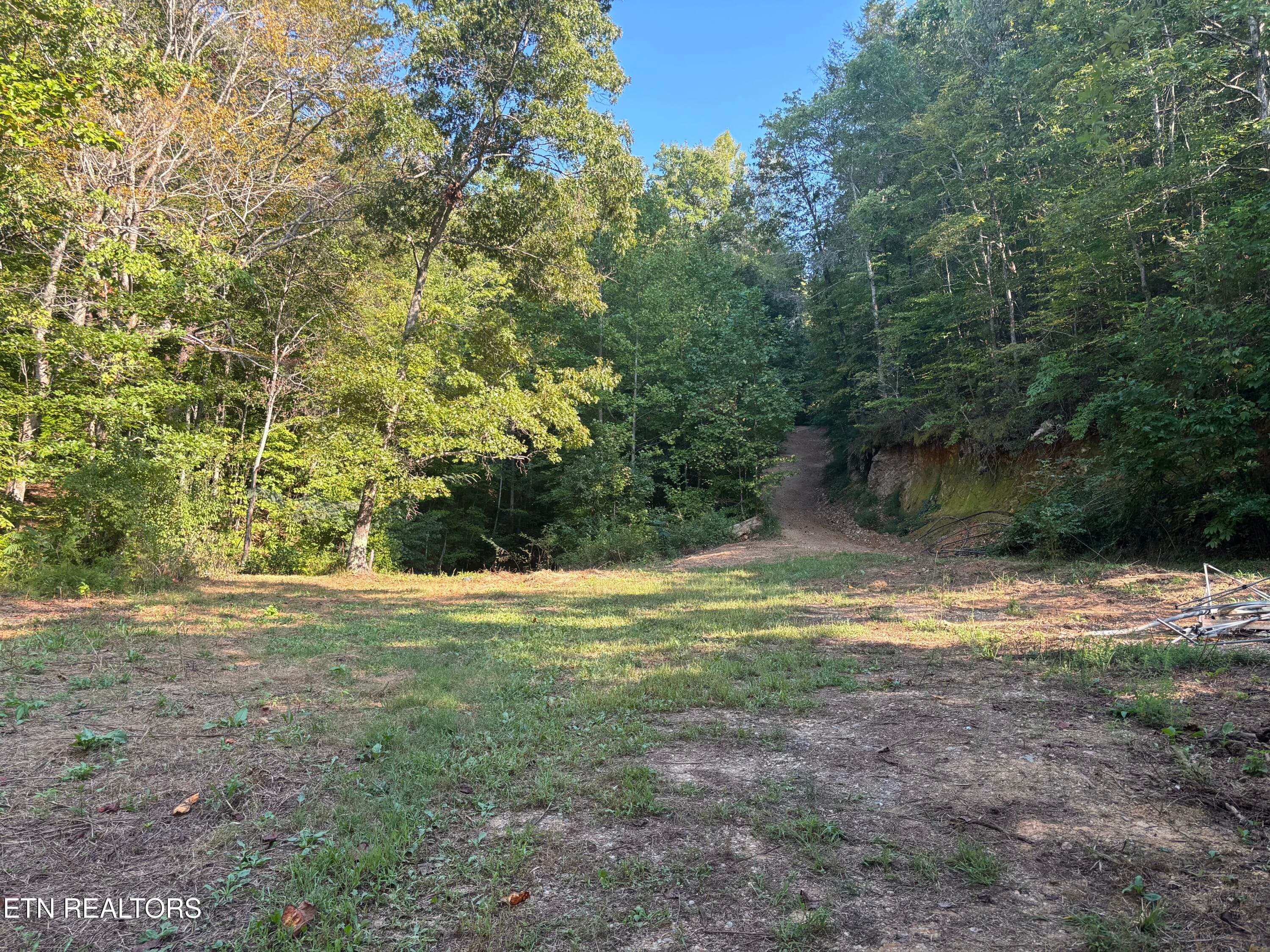 IMG_6828 (1) - 204 Hughes Hollow Rd, Vonore, TN 37885