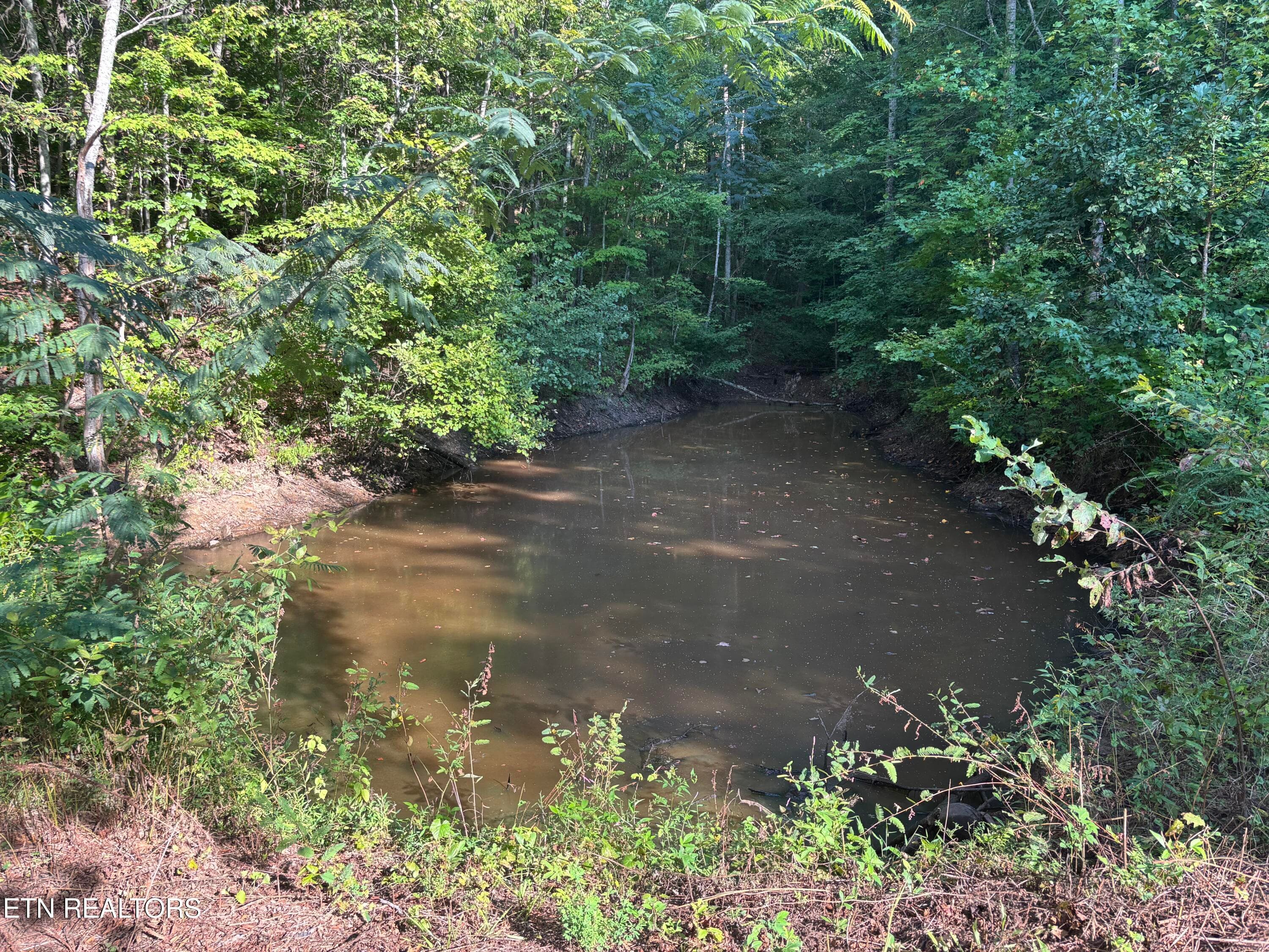 IMG_6830 (1) - 204 Hughes Hollow Rd, Vonore, TN 37885
