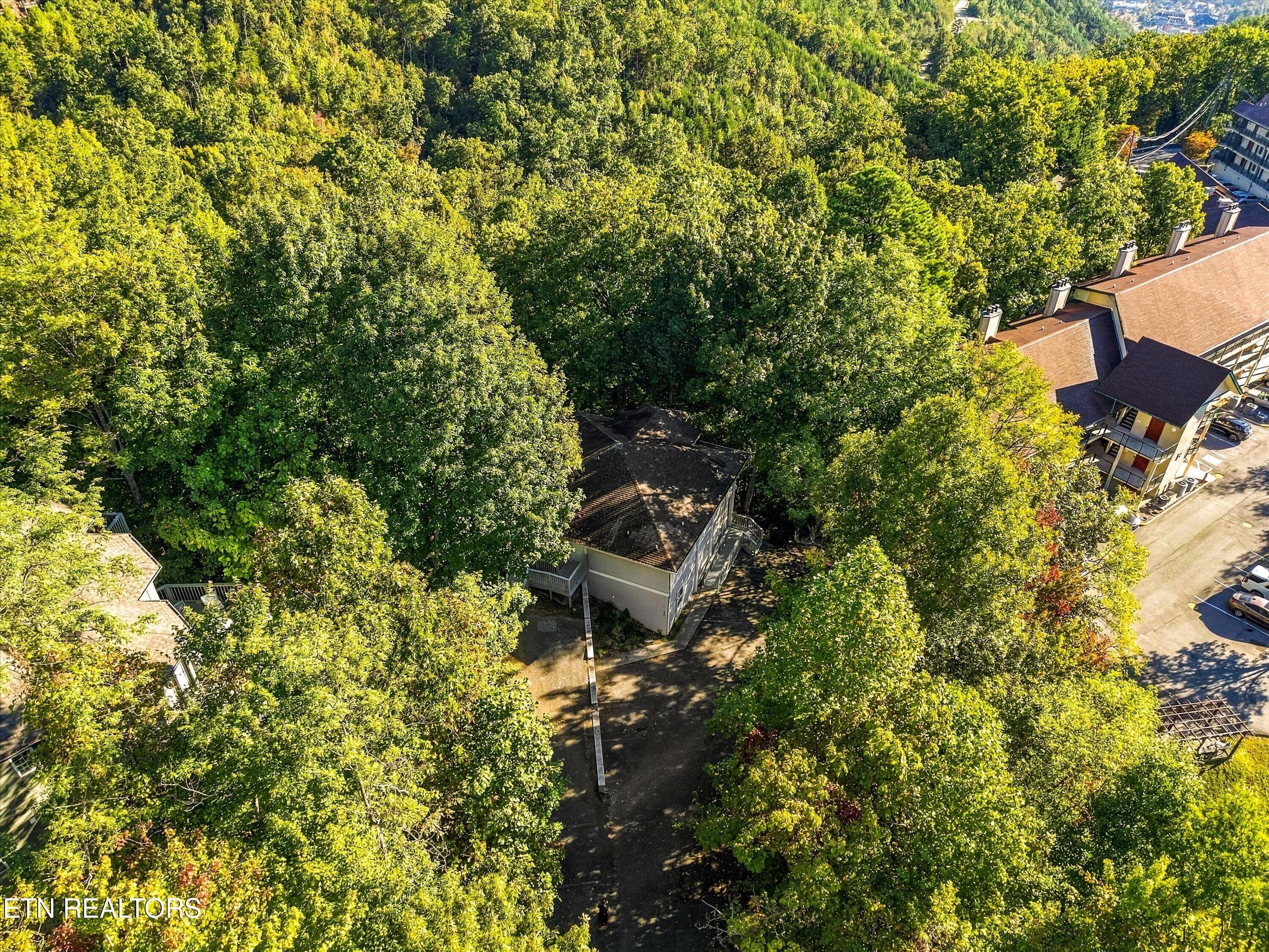 50-838 Holly Branch Rd50 - 838 Holly Branch Rd, Gatlinburg, TN 37738, Gatlinburg