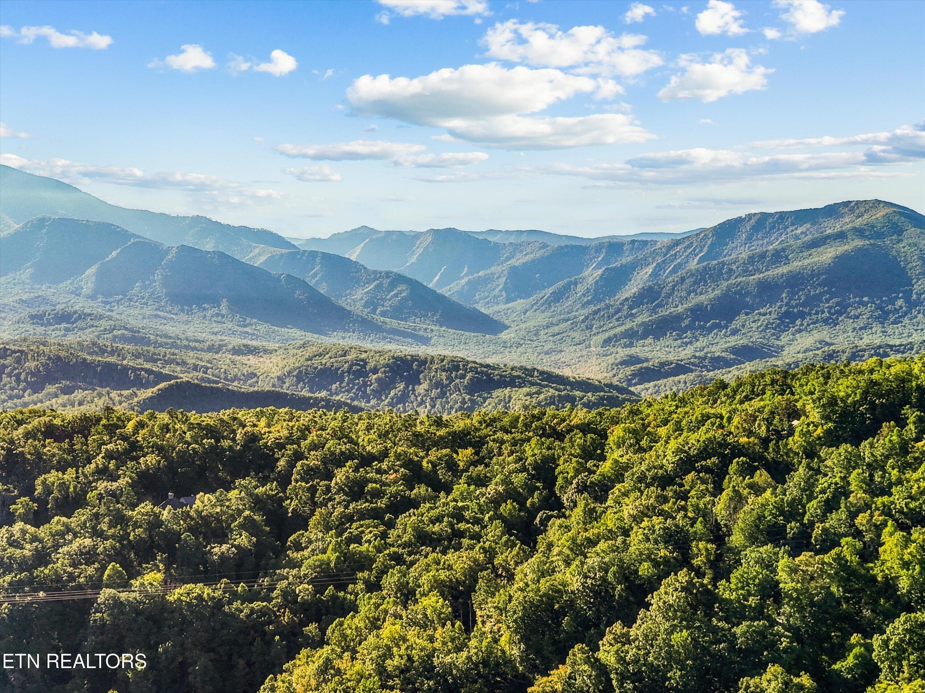 55-838 Holly Branch Rd55 - 838 Holly Branch Rd, Gatlinburg, TN 37738, Gatlinburg