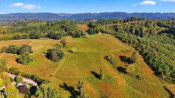 fields - TBD Old Harlan Rd, Jonesville, VA 24263