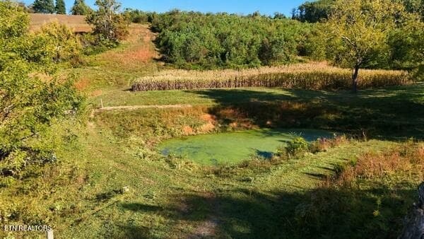 pond and fields - TBD Old Harlan Rd, Jonesville, VA 24263