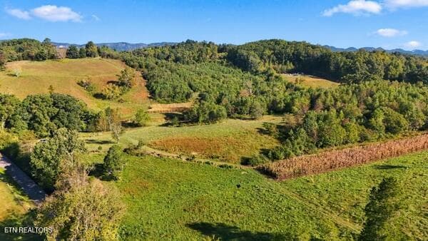 fields - TBD Old Harlan Rd, Jonesville, VA 24263