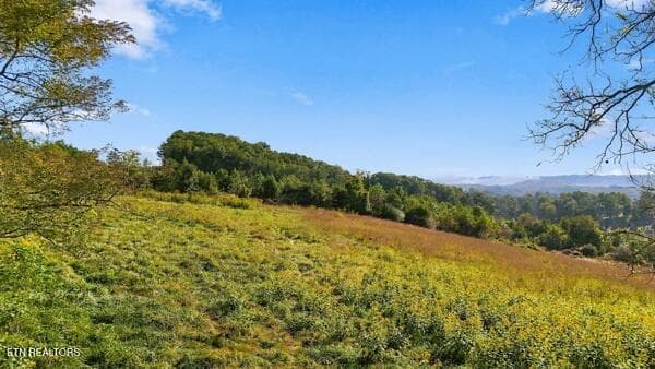 fields1 - TBD Old Harlan Rd, Jonesville, VA 24263