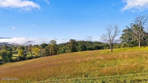 fields2 - TBD Old Harlan Rd, Jonesville, VA 24263