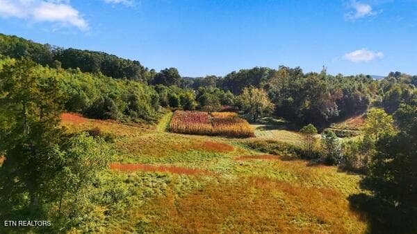 fields6 - TBD Old Harlan Rd, Jonesville, VA 24263