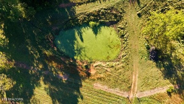 pond - TBD Old Harlan Rd, Jonesville, VA 24263