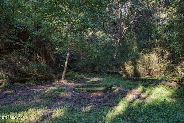 seasonal spring - TBD Old Harlan Rd, Jonesville, VA 24263