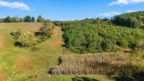 tenants corn field - TBD Old Harlan Rd, Jonesville, VA 24263