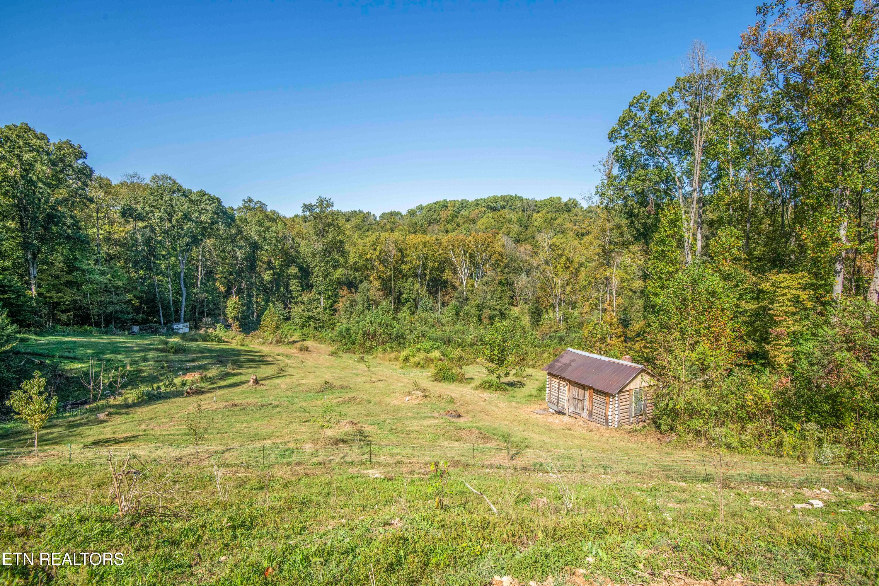 yard 4_1 - 155 Lakeview Circle, Clinton, TN 37716
