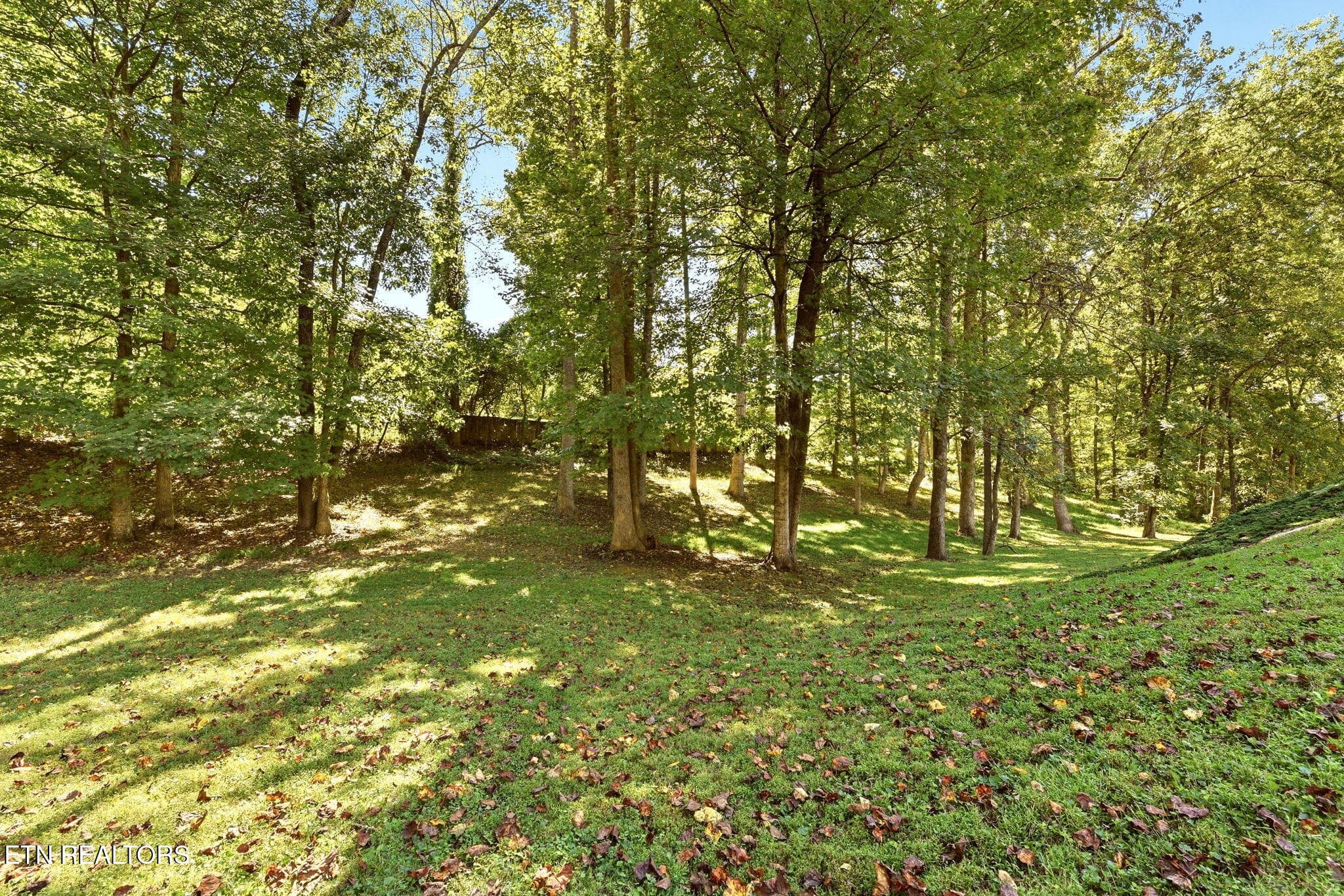 50-web-or-mls-ApplTr144 (48) - 144 Apple Tree Drive, Clinton, TN 37716, Clinton