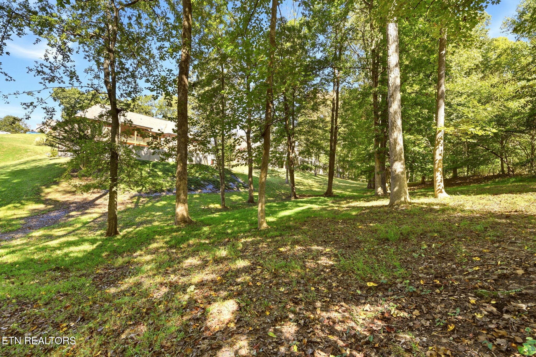 51-web-or-mls-ApplTr144 (49) - 144 Apple Tree Drive, Clinton, TN 37716, Clinton