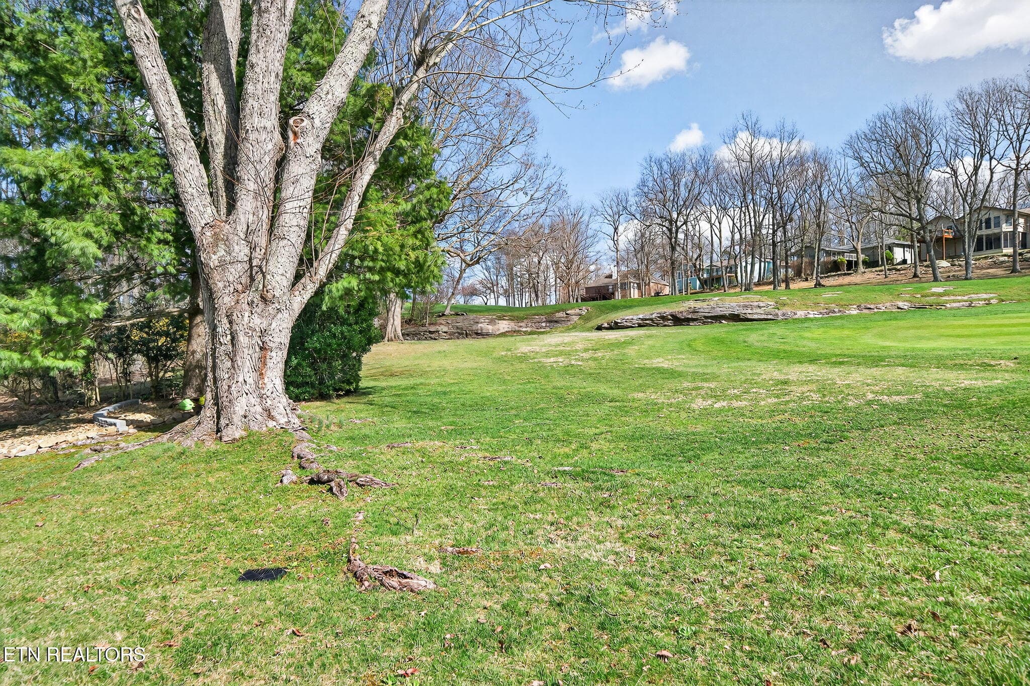 22-web-or-mls-113 Prescott Ln_102_TNPC - 113 Prescott Lane, Crossville, TN 38558, Crossville