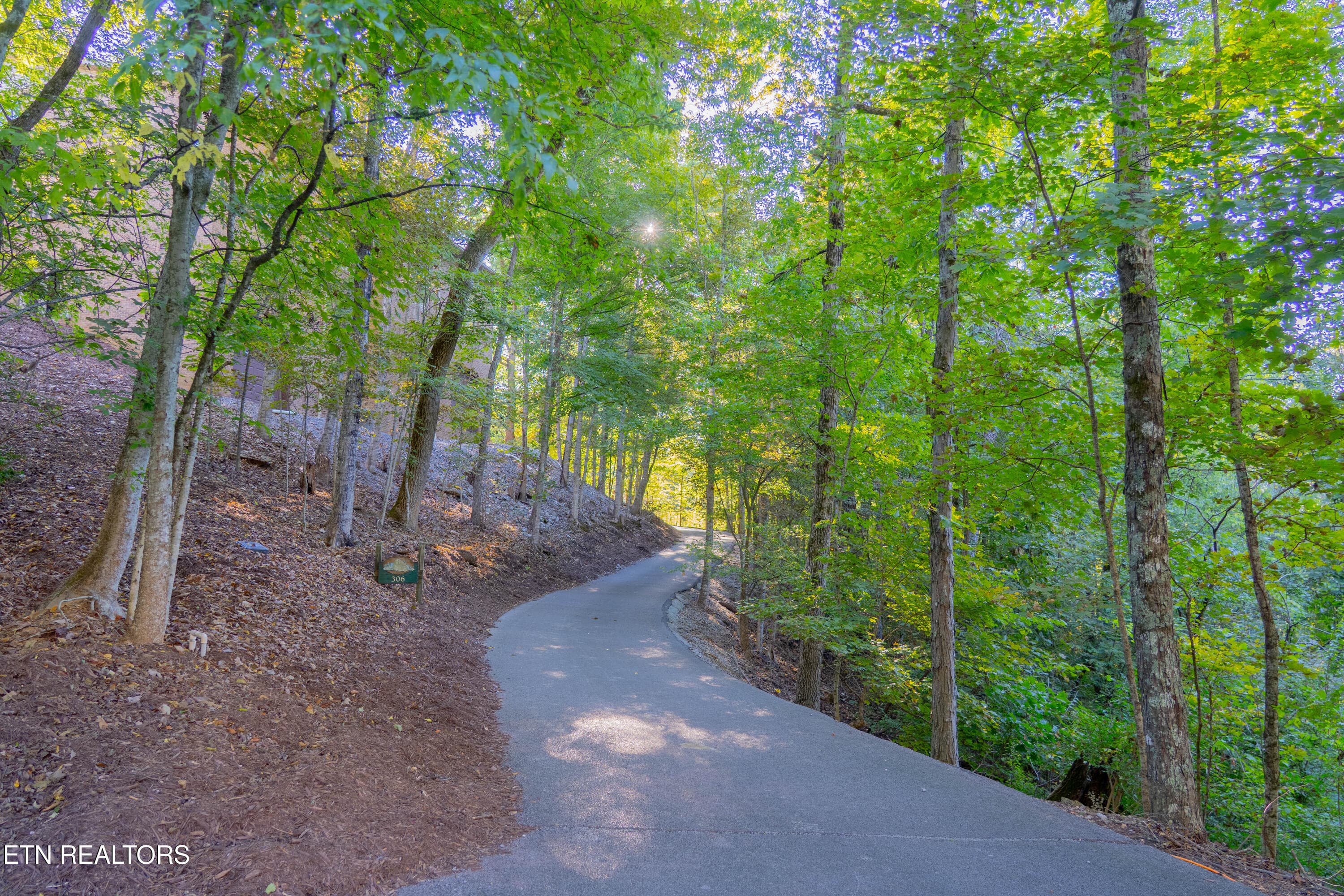 Shared Driveway - 306 Teague Lane, Sevierville, TN 37862, Sevierville