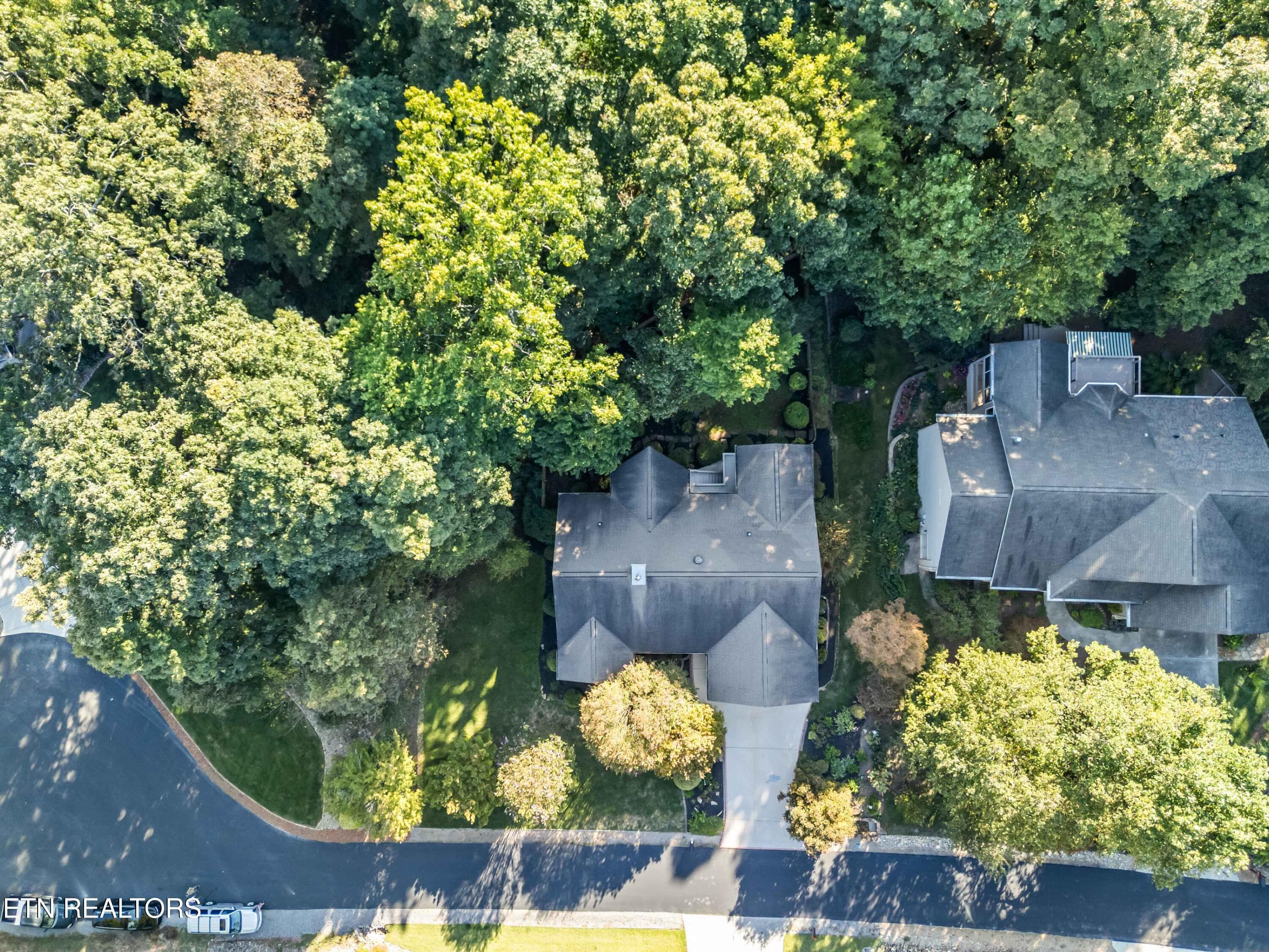 Very Private Backyard - 508 Skiatook Court, Loudon, TN 37774, Loudon