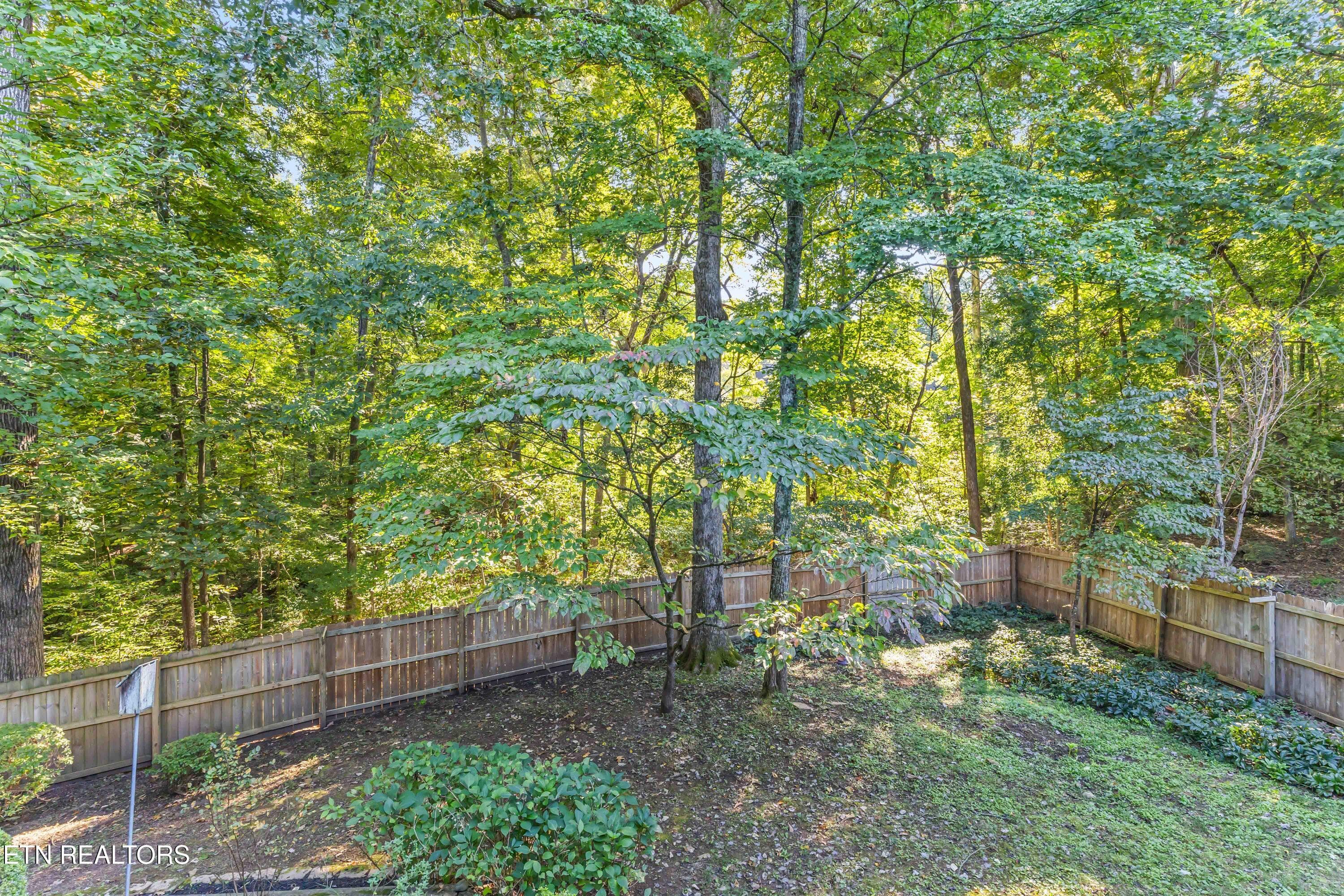 IMG_8612 - 508 Skiatook Court, Loudon, TN 37774, Loudon