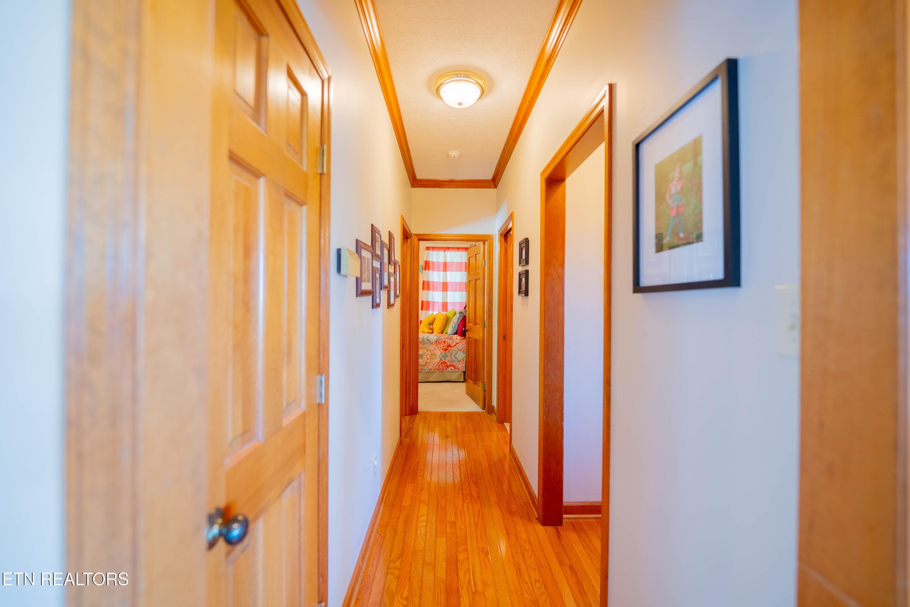 Hallway - 310 Teague, Sevierville, TN 37862, Sevierville