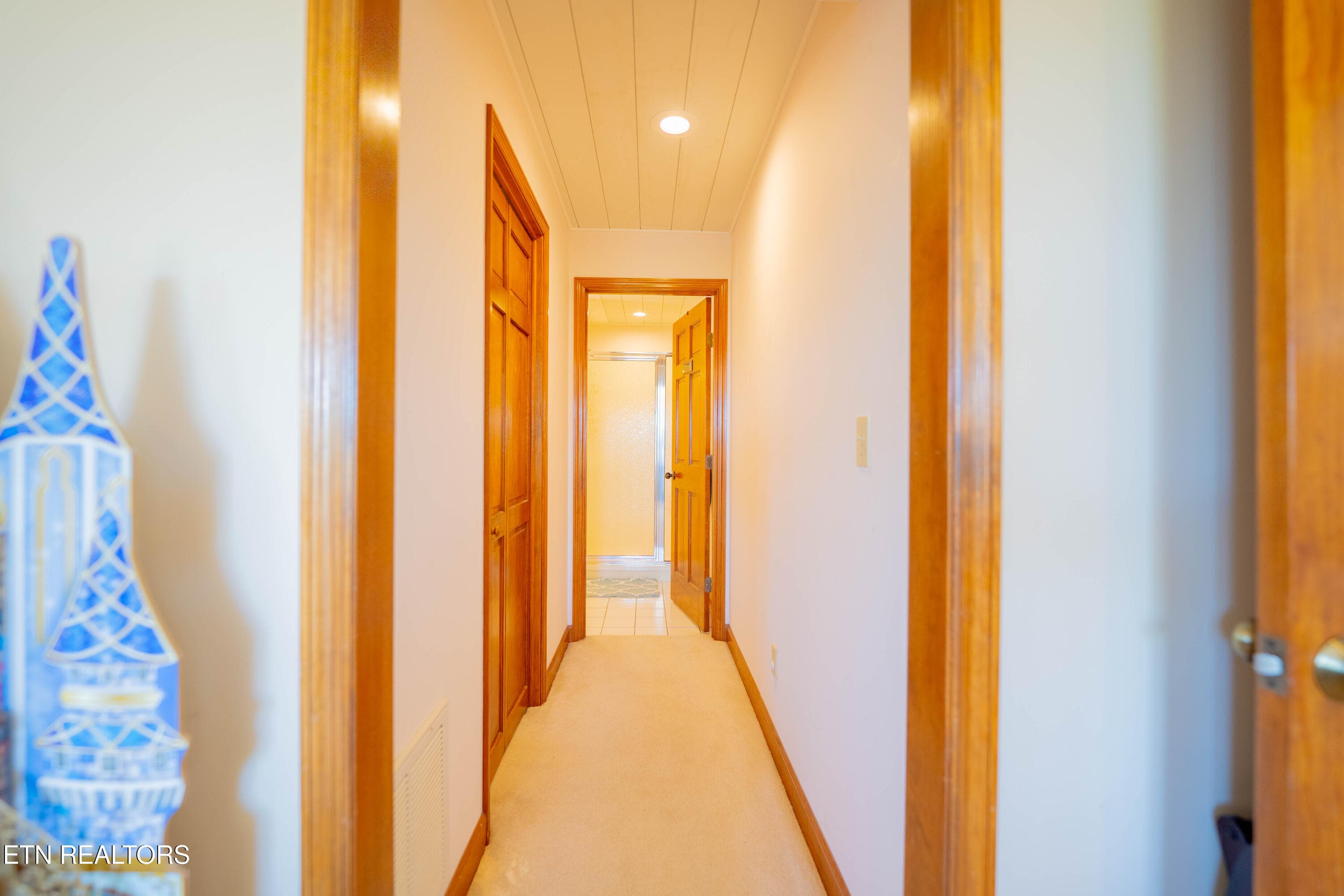 Downstairs Hallway - 310 Teague, Sevierville, TN 37862, Sevierville