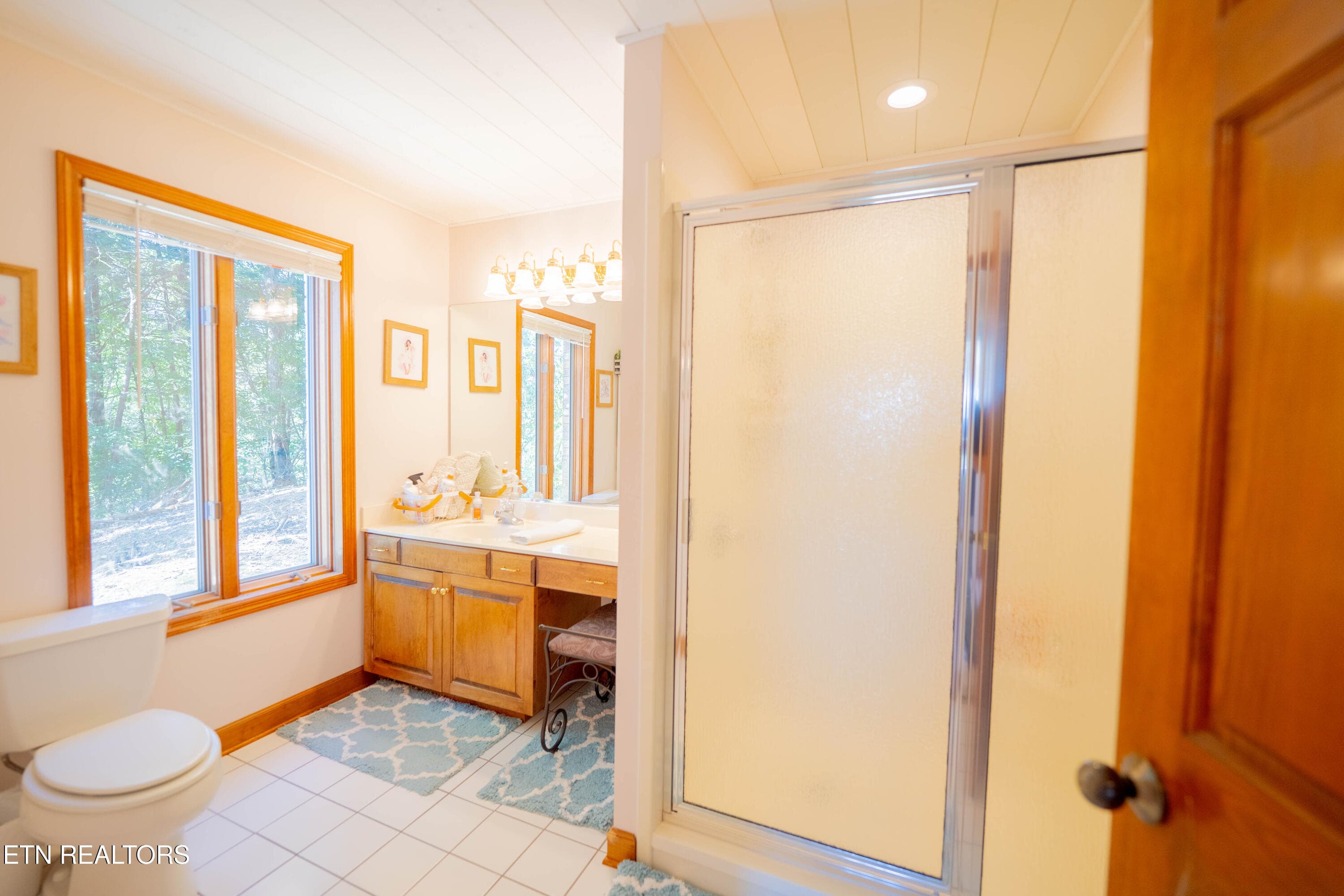 3rd Full Bathroom Downstairs - 310 Teague, Sevierville, TN 37862, Sevierville