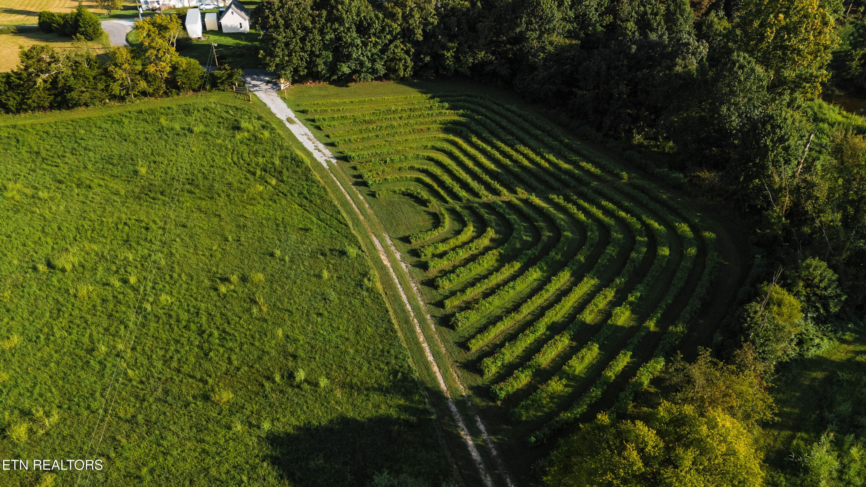 DJI_20260823183334_0027_D - 227 Ladrew Lane, Bulls Gap, TN 37711, Bulls Gap