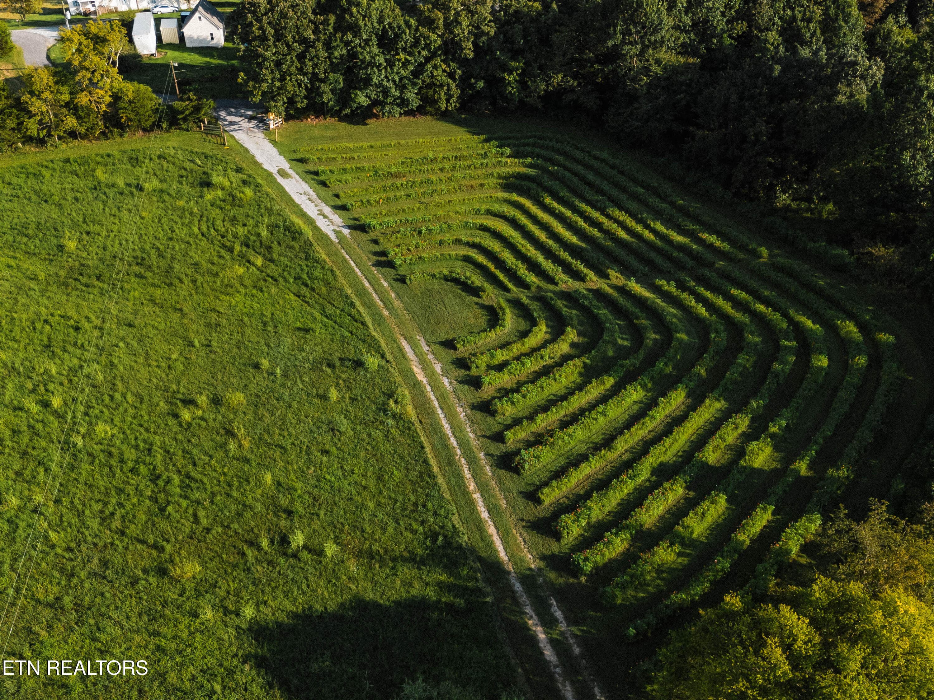 DJI_20260823183334_0027_D-2 - 227 Ladrew Lane, Bulls Gap, TN 37711, Bulls Gap