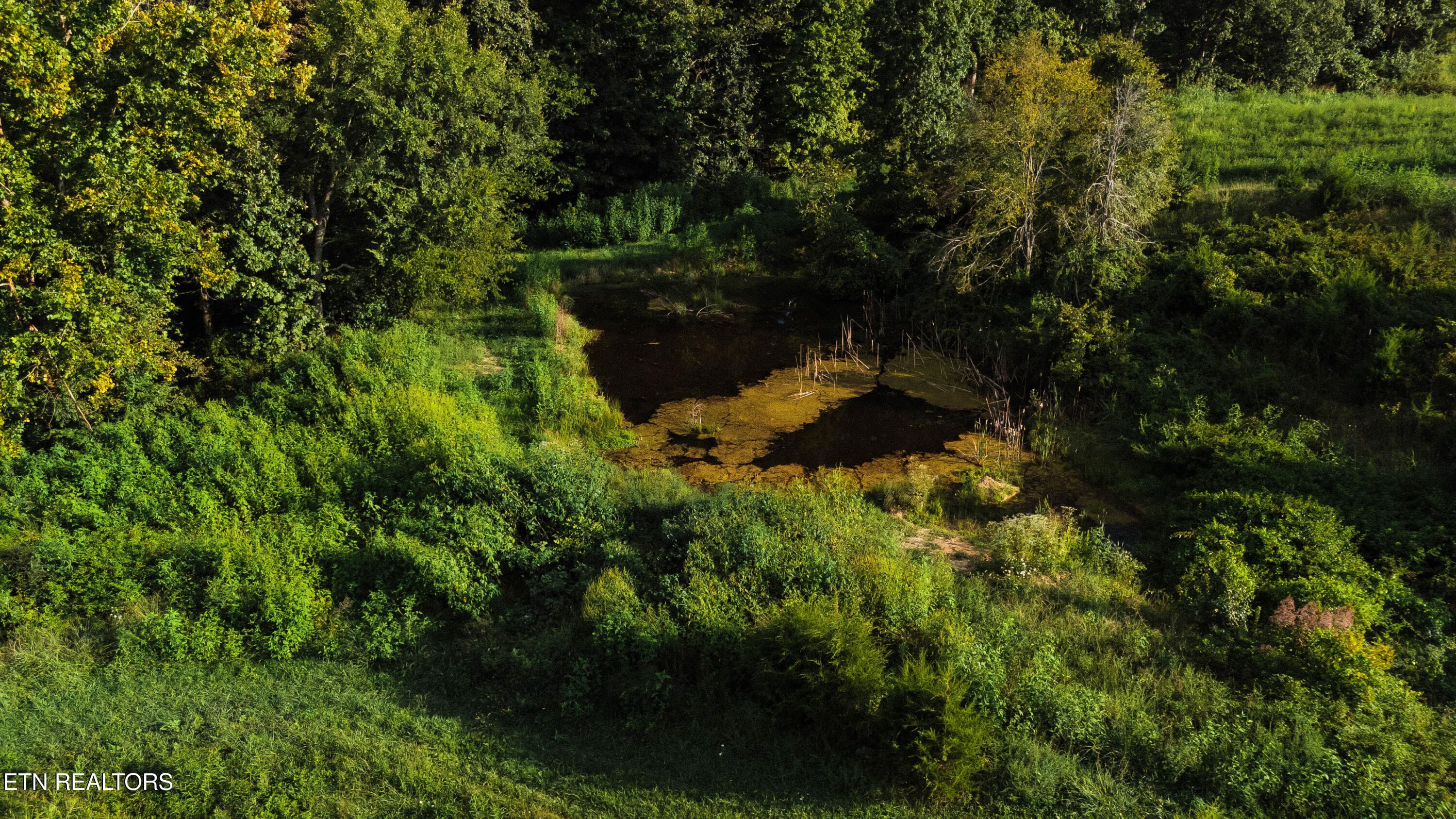 DJI_20260823182530_0018_D - 227 Ladrew Lane, Bulls Gap, TN 37711, Bulls Gap