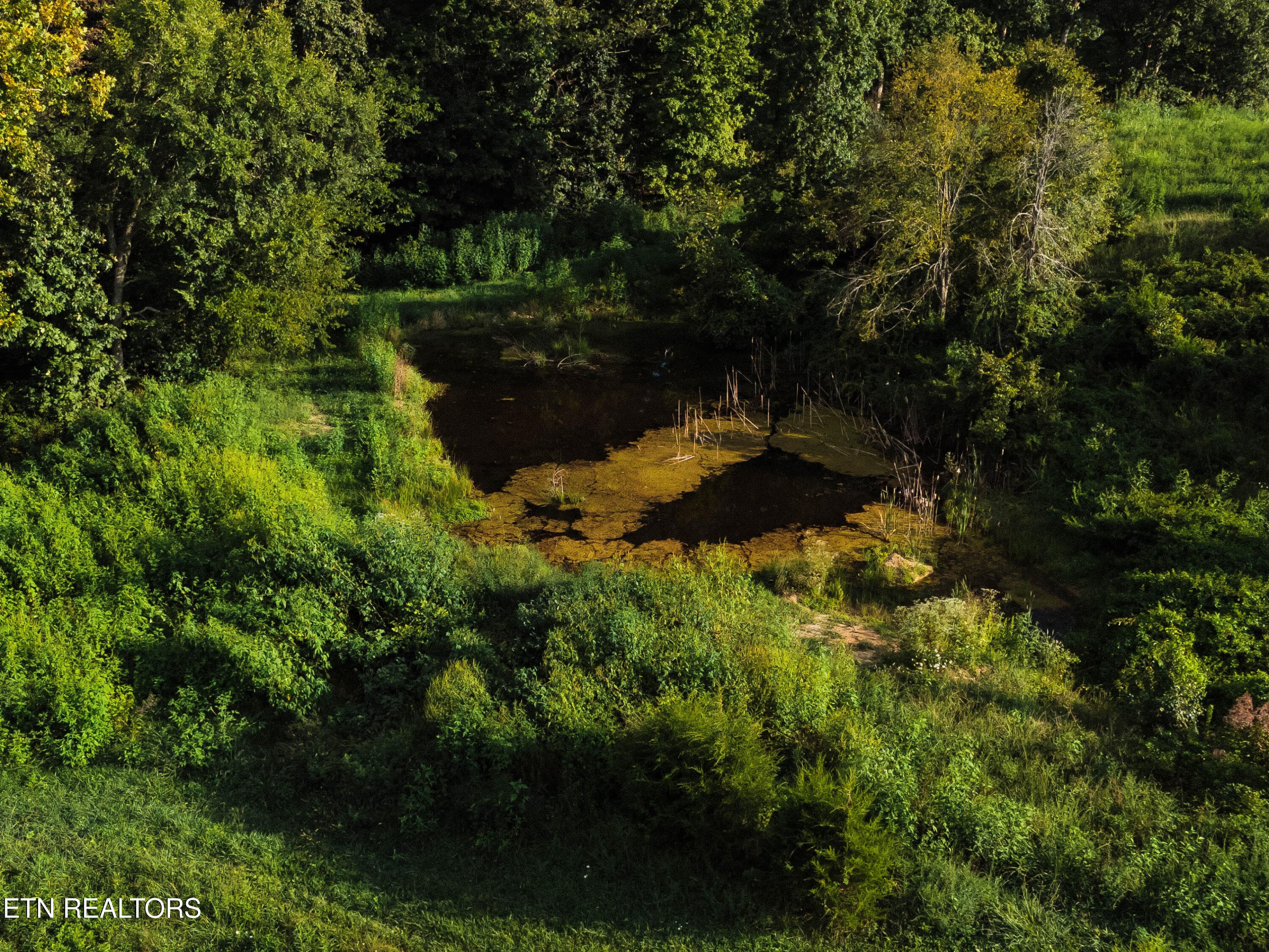 DJI_20260823182530_0018_D-2 - 227 Ladrew Lane, Bulls Gap, TN 37711, Bulls Gap