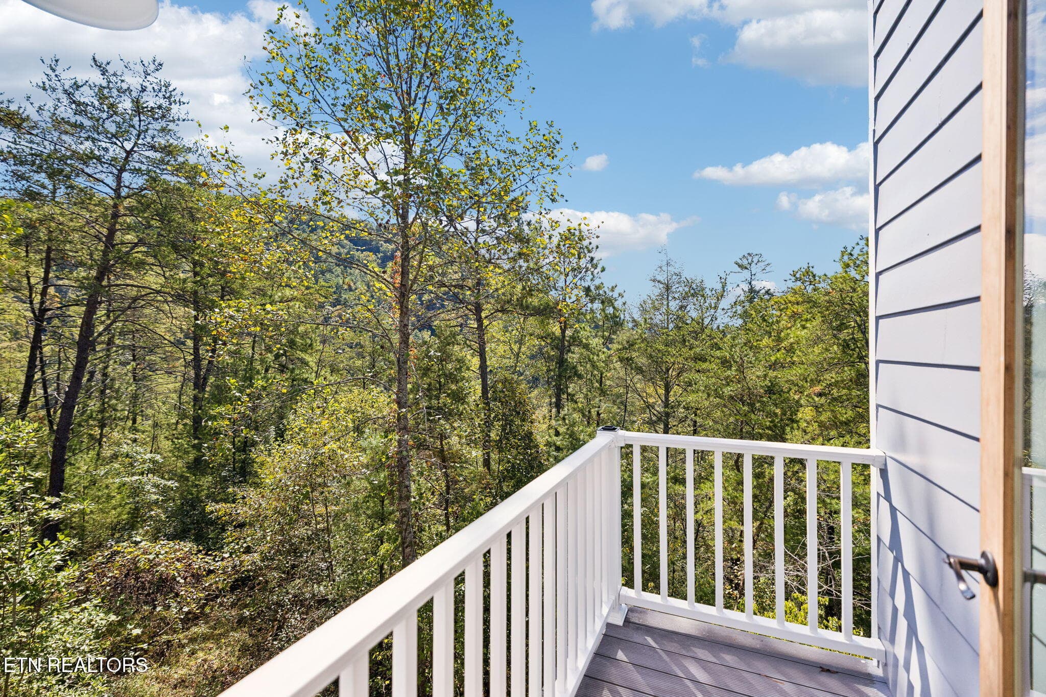 Deck off kitchen - 1243 Carrs Creek Rd, Townsend, TN 37882, Townsend