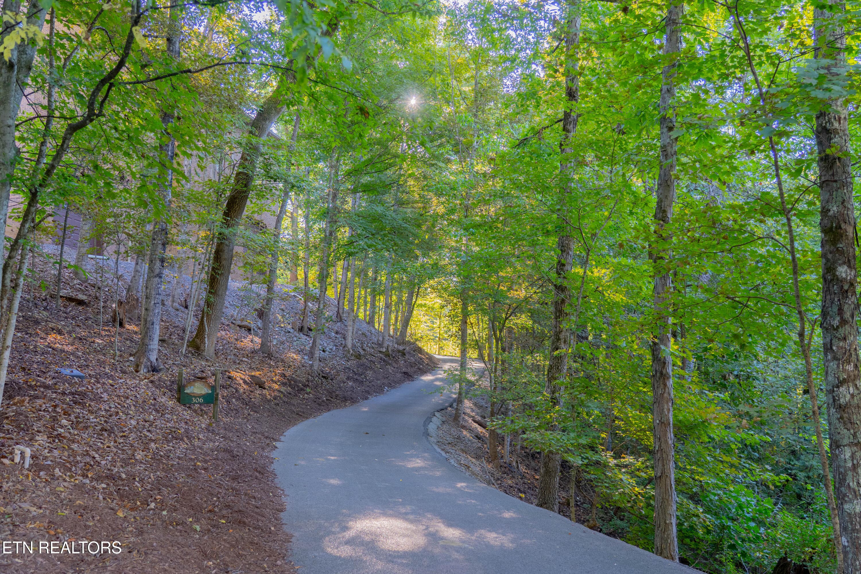 driveway - 310 Teague, Sevierville, TN 37862, Sevierville