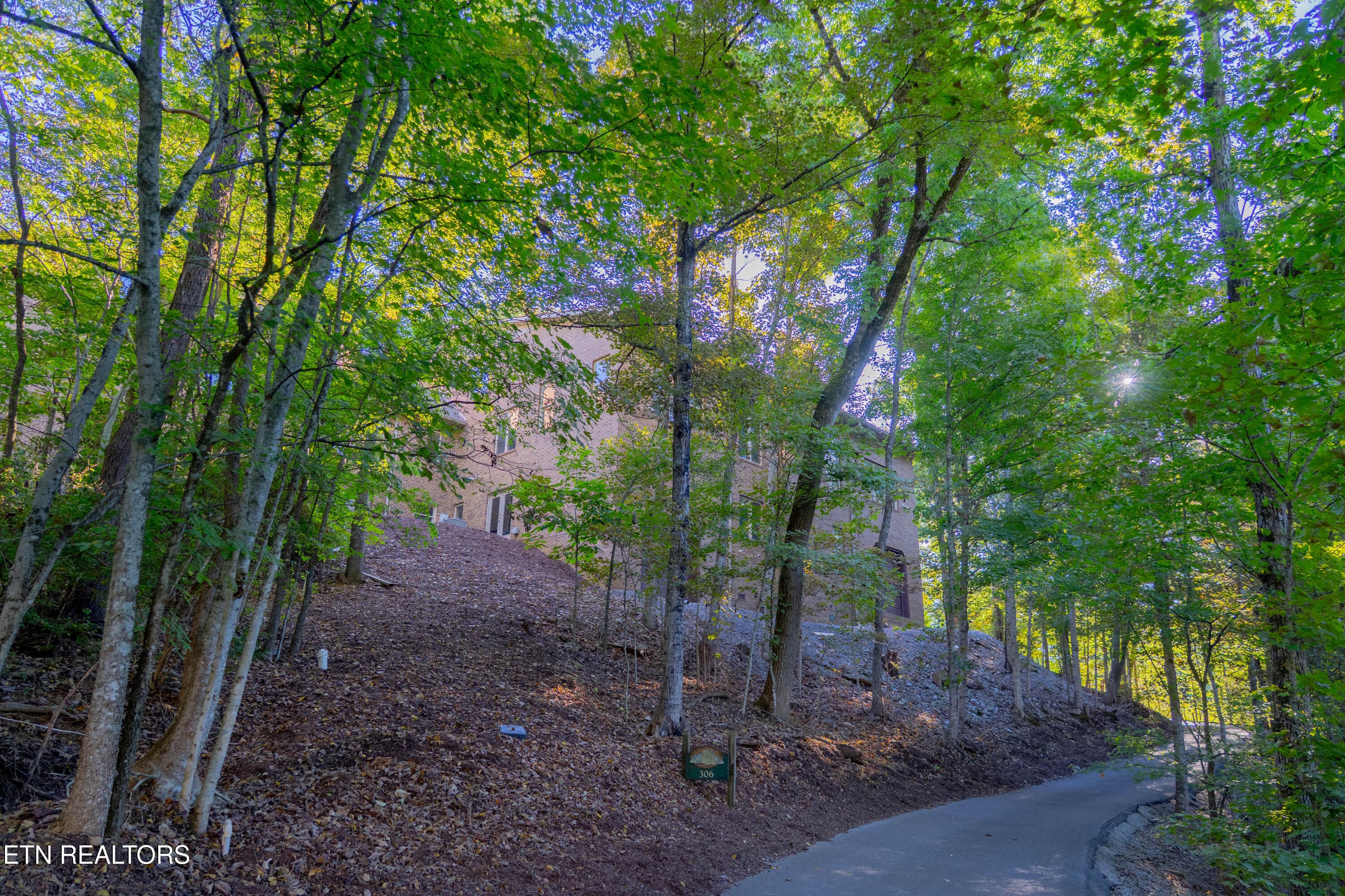 driveway - 310 Teague, Sevierville, TN 37862, Sevierville