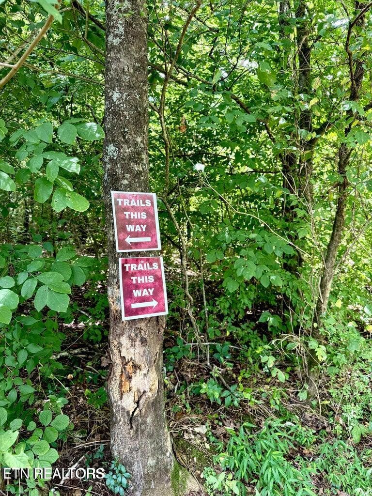 20260716130515088153000000-o - 119 Springhouse Rd, Powell, TN 37849, Powell