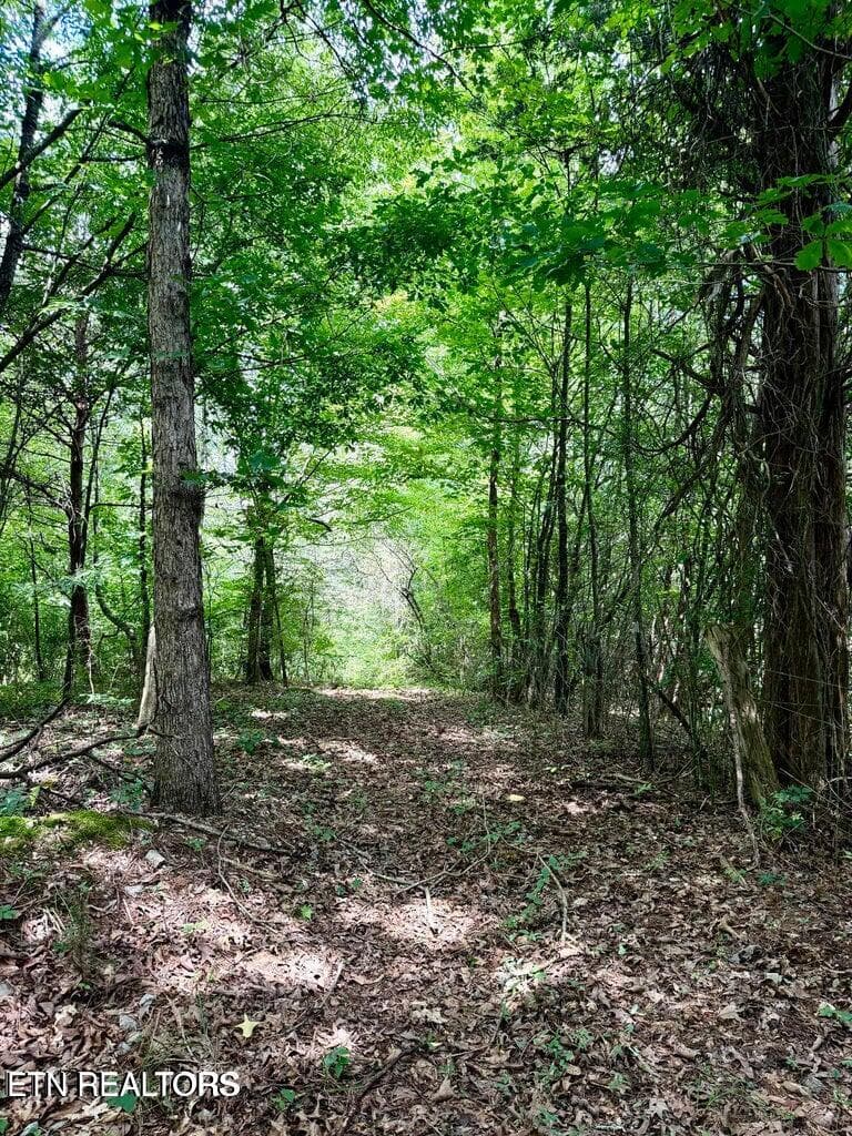 20260716130448266801000000-o - 119 Springhouse Rd, Powell, TN 37849, Powell