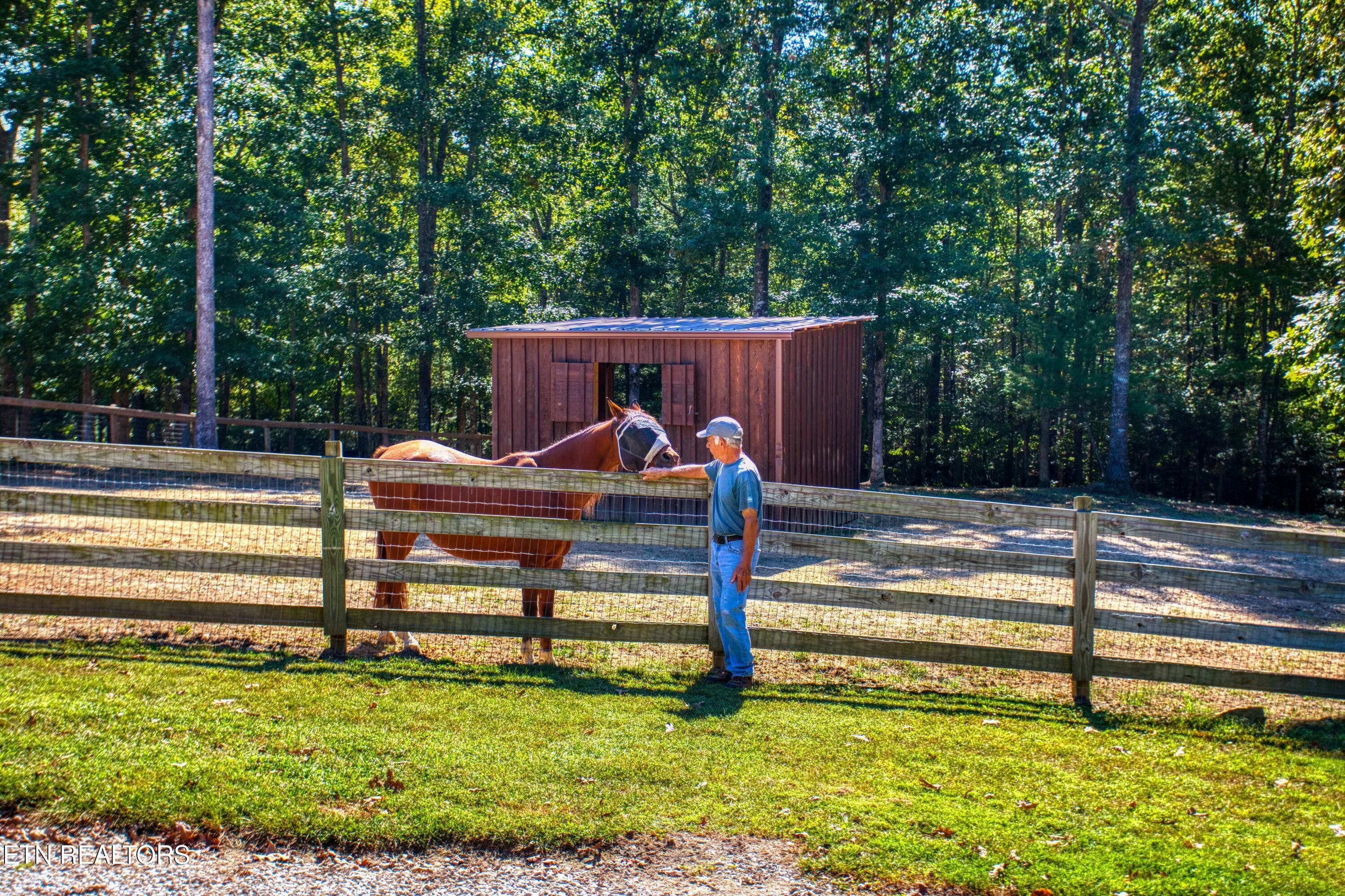 EK3A0844 - 232 Wild Cat Rd, Jamestown, TN 38556, Jamestown