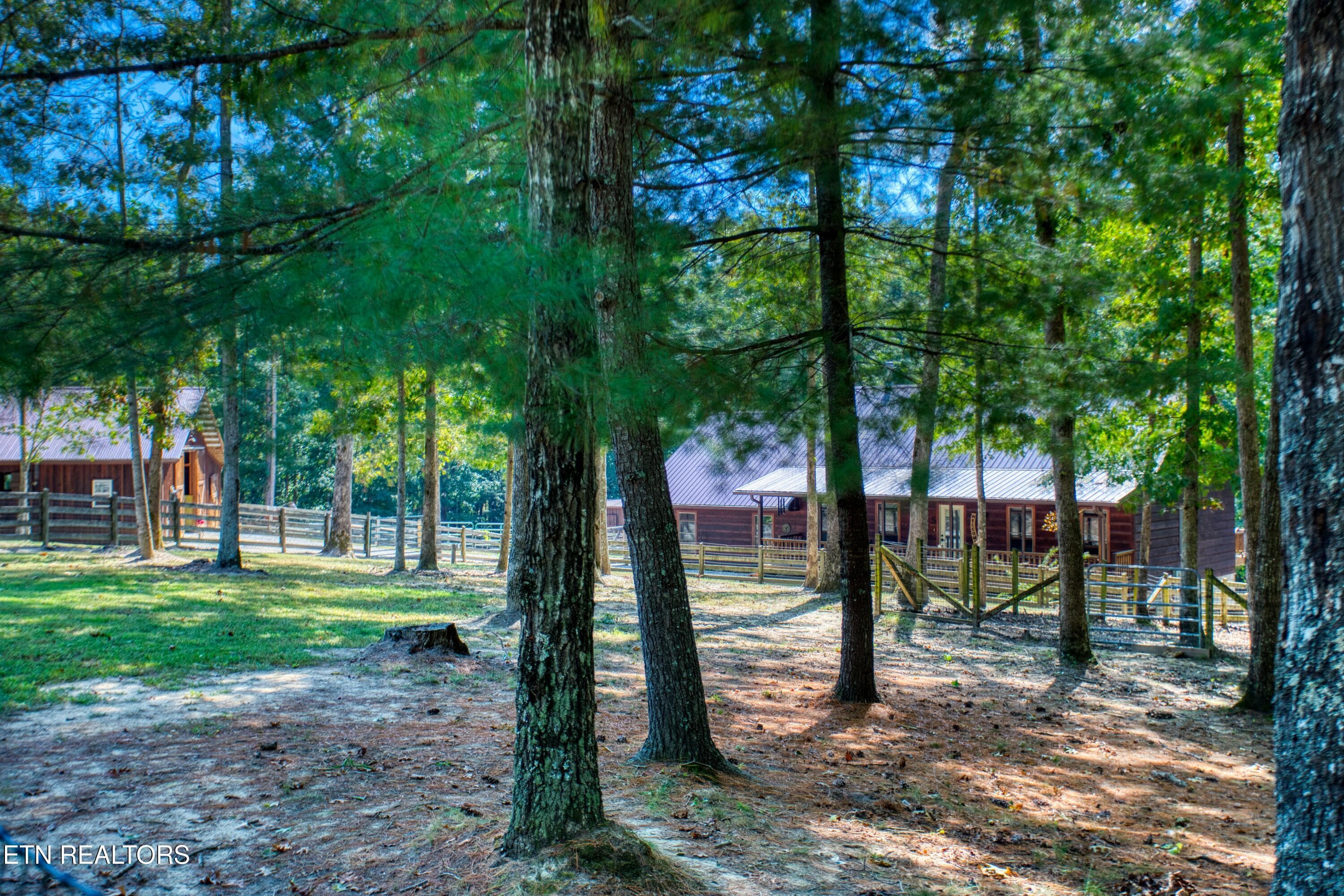 EK3A0907 - 232 Wild Cat Rd, Jamestown, TN 38556, Jamestown