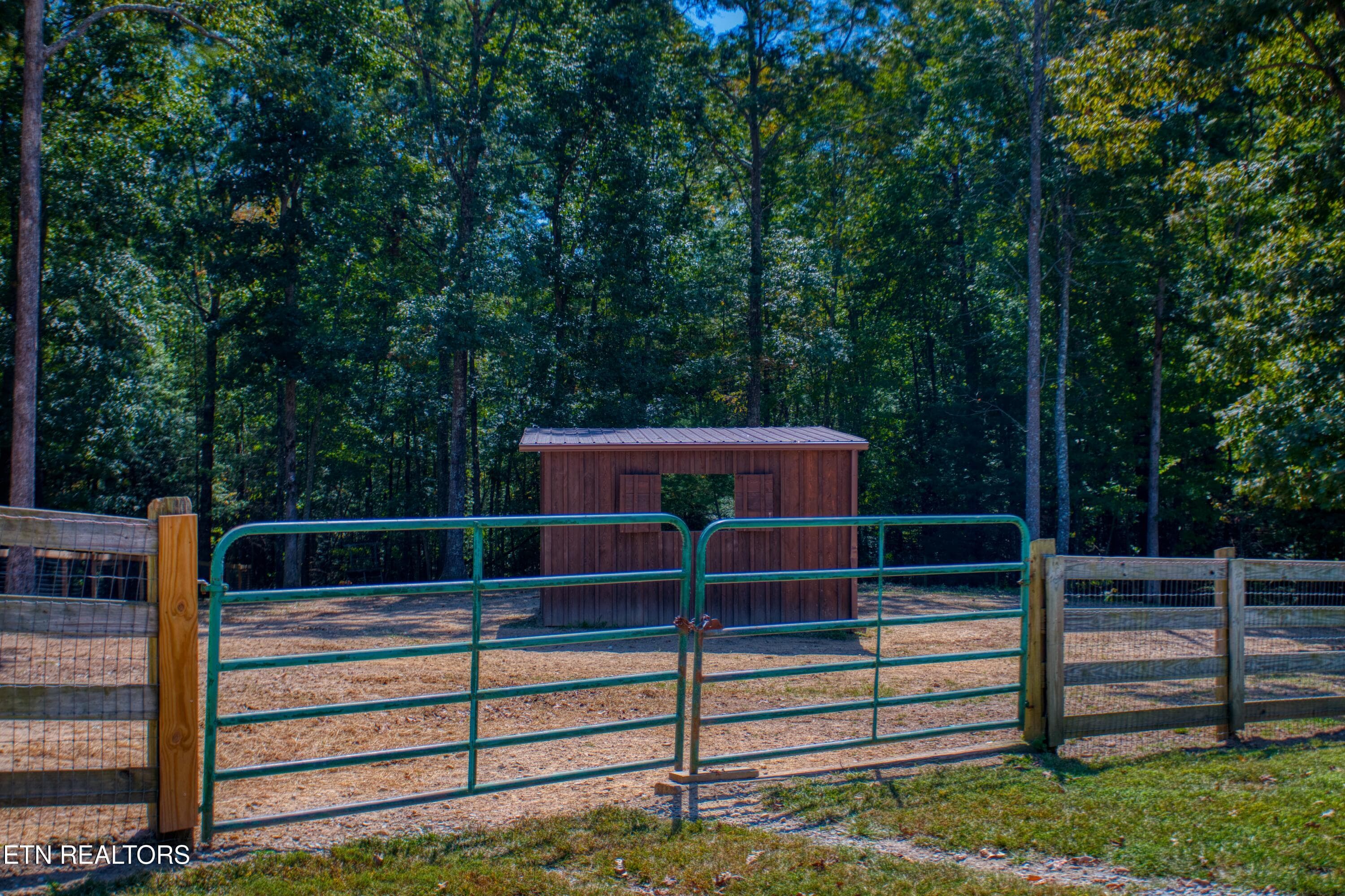 EK3A0968 - 232 Wild Cat Rd, Jamestown, TN 38556, Jamestown
