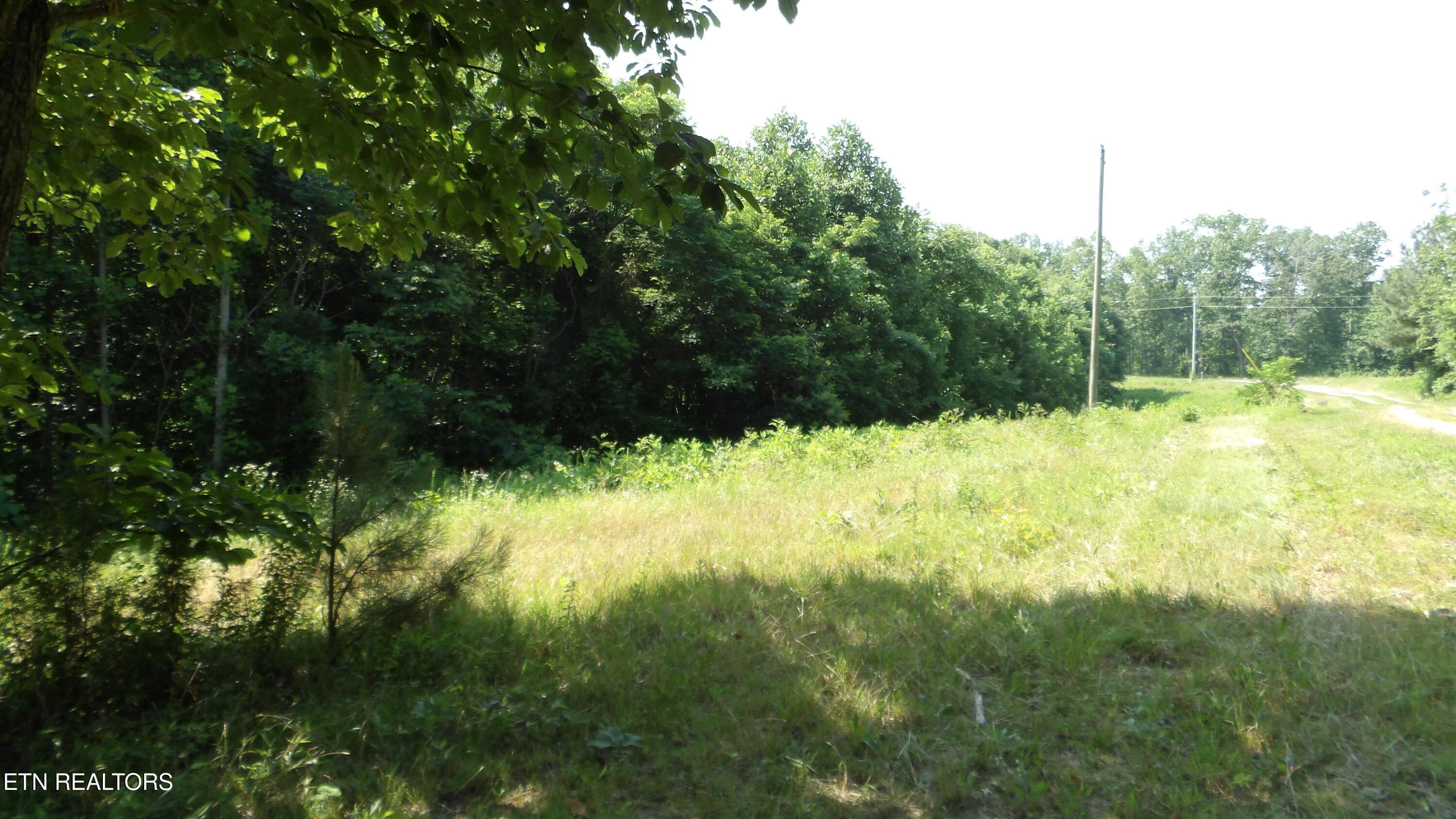 100_0043 - 580 Pleasant Cemetery Lane, Gainesboro, TN 38562, Gainesboro