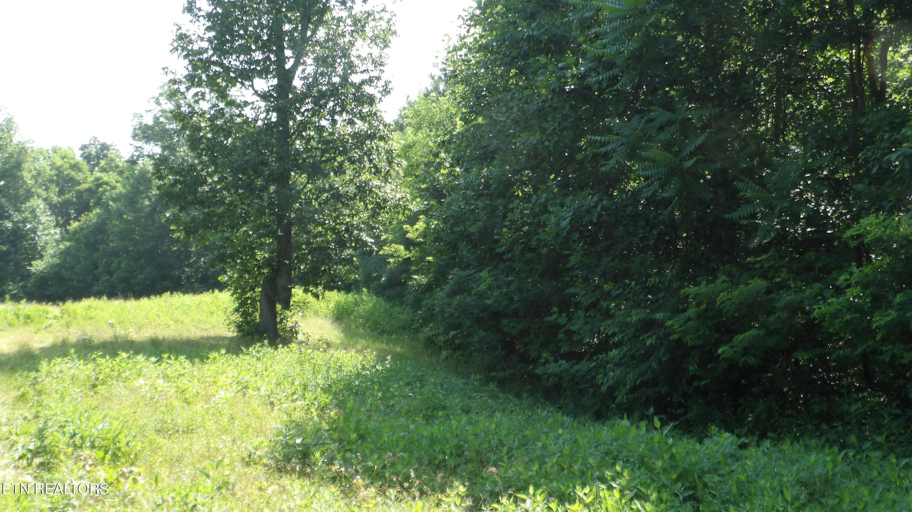 100_0047 - 580 Pleasant Cemetery Lane, Gainesboro, TN 38562, Gainesboro