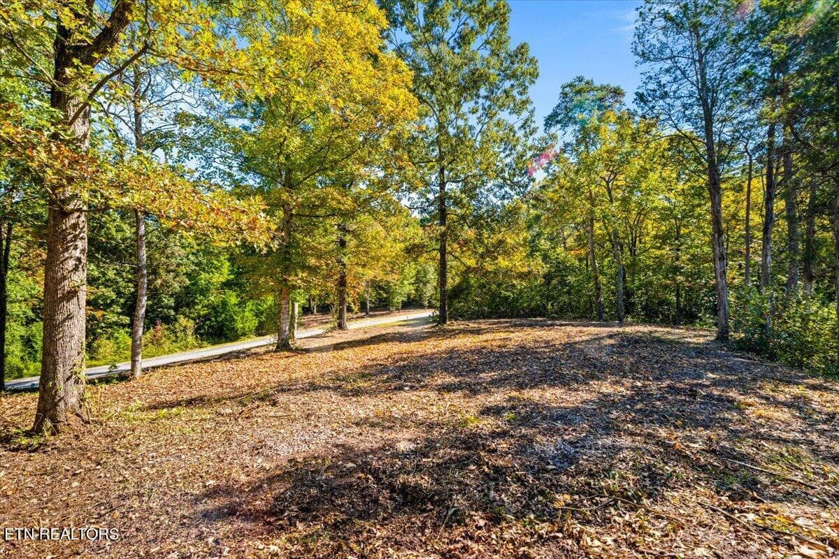 02-Bluff Trace - lot1,2,2,3 Bluff Trace, Jacksboro, TN 37757, Jacksboro